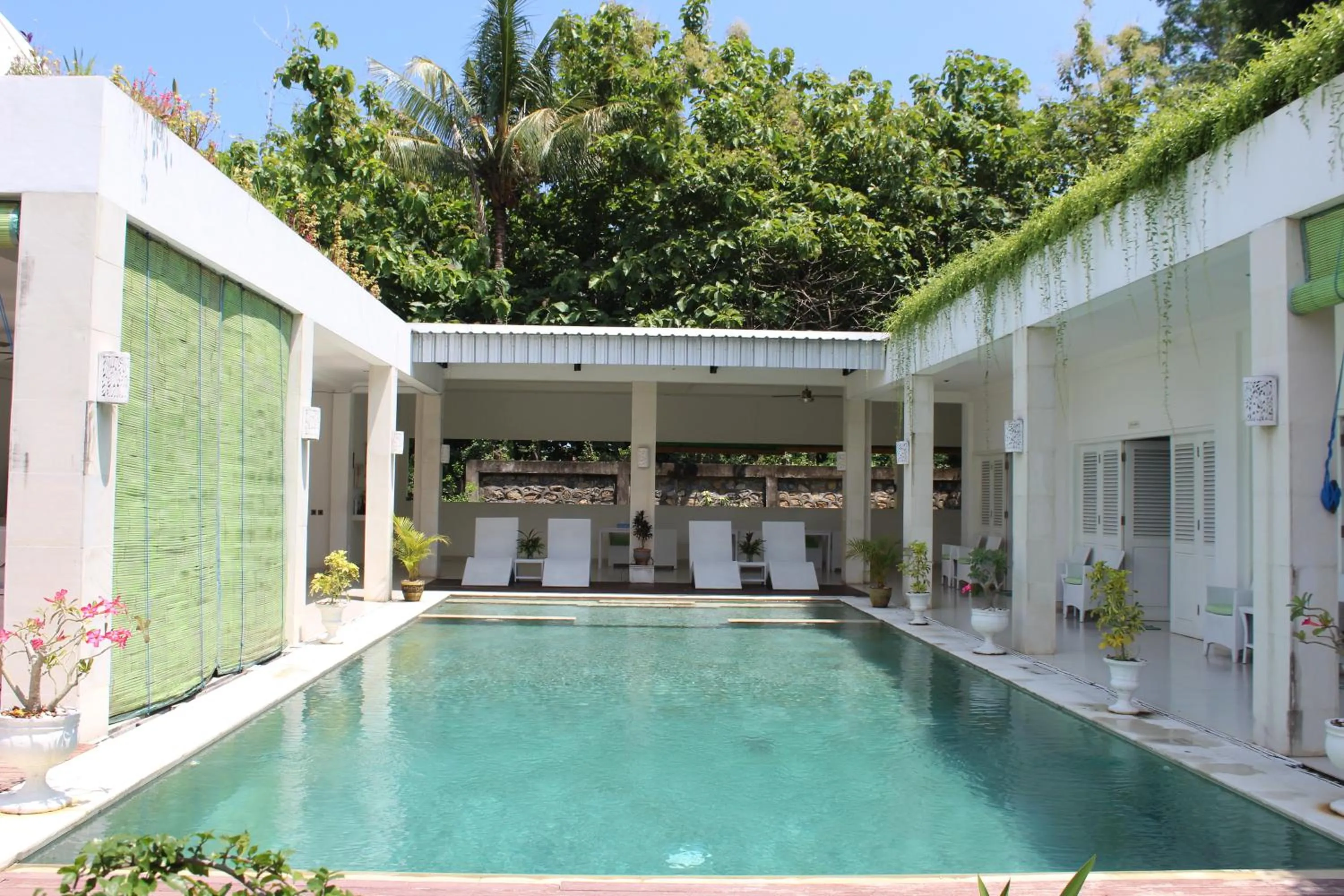 Villa Putih Lovina