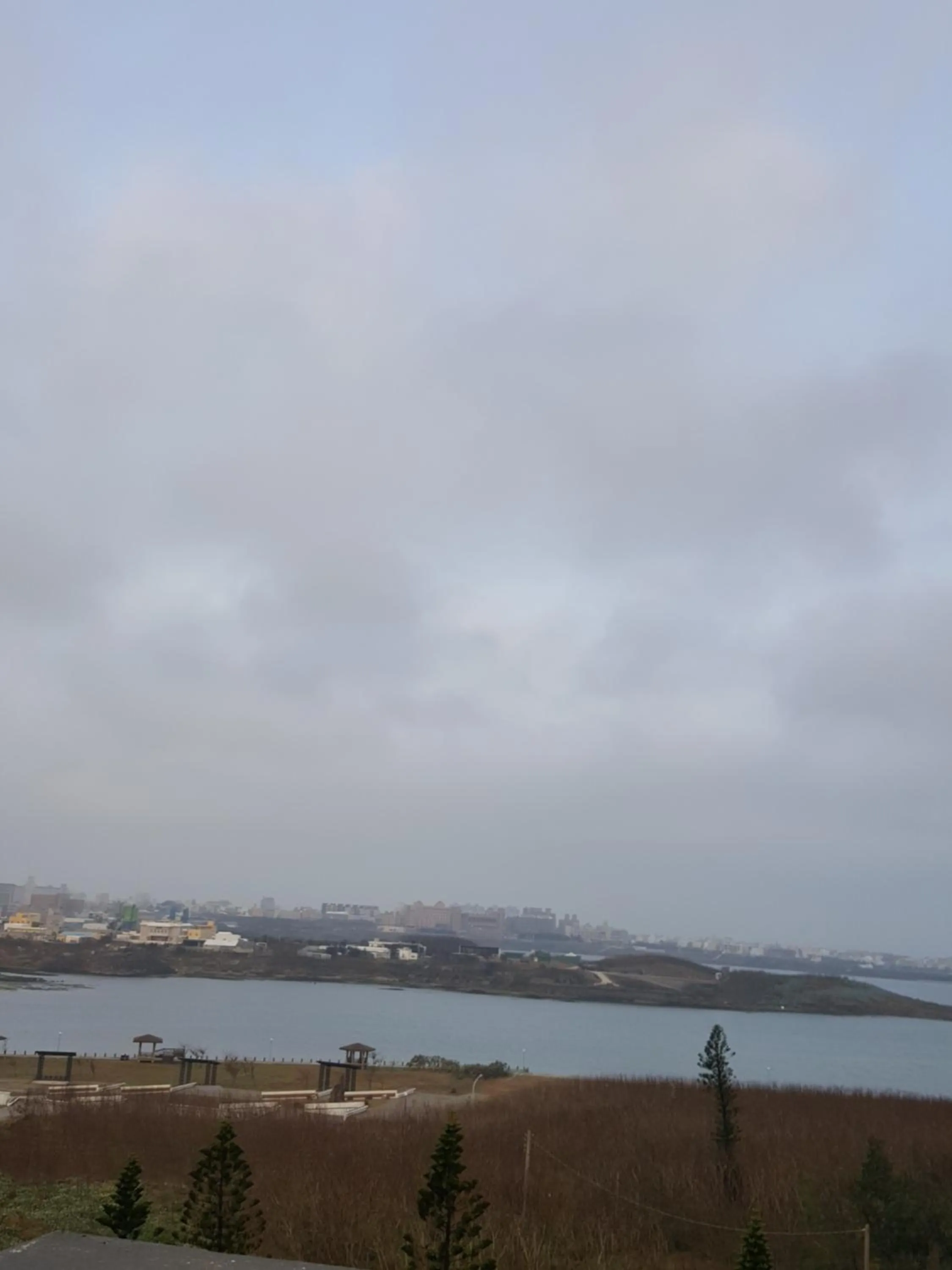 Decorative detail in Passion