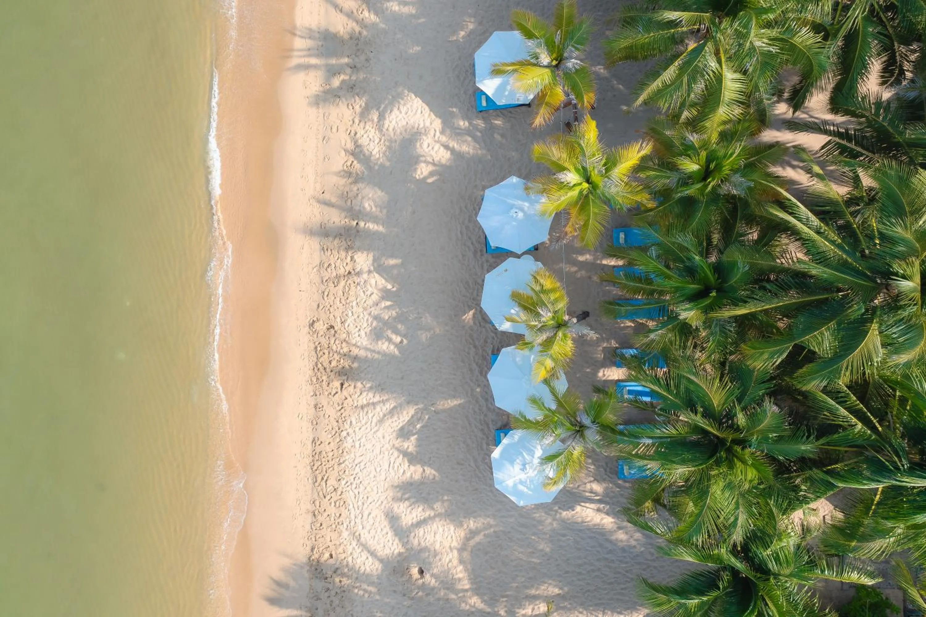 Bird's eye view in Anja Beach Resort & Spa