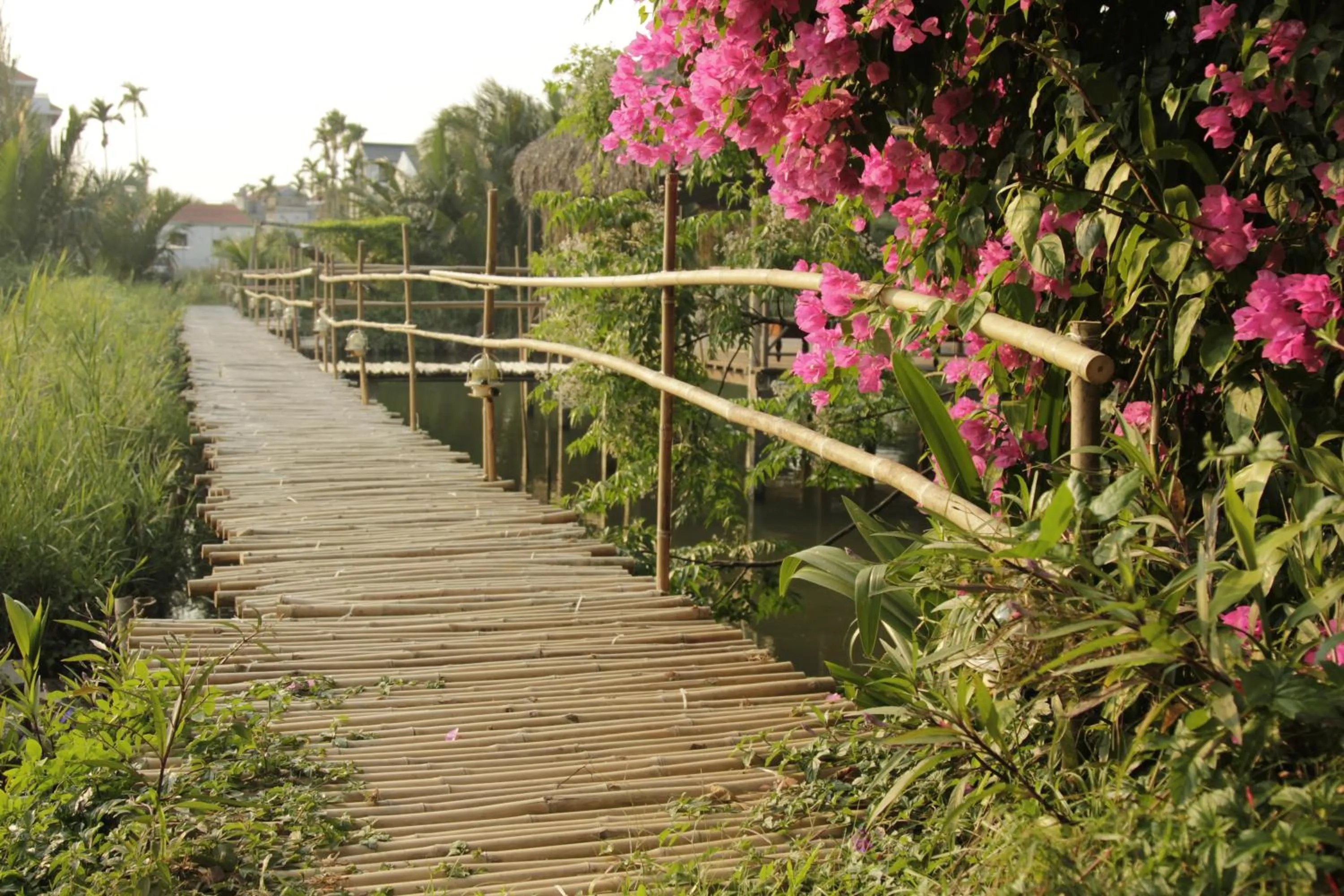 Natural landscape in An Villa boutique resort