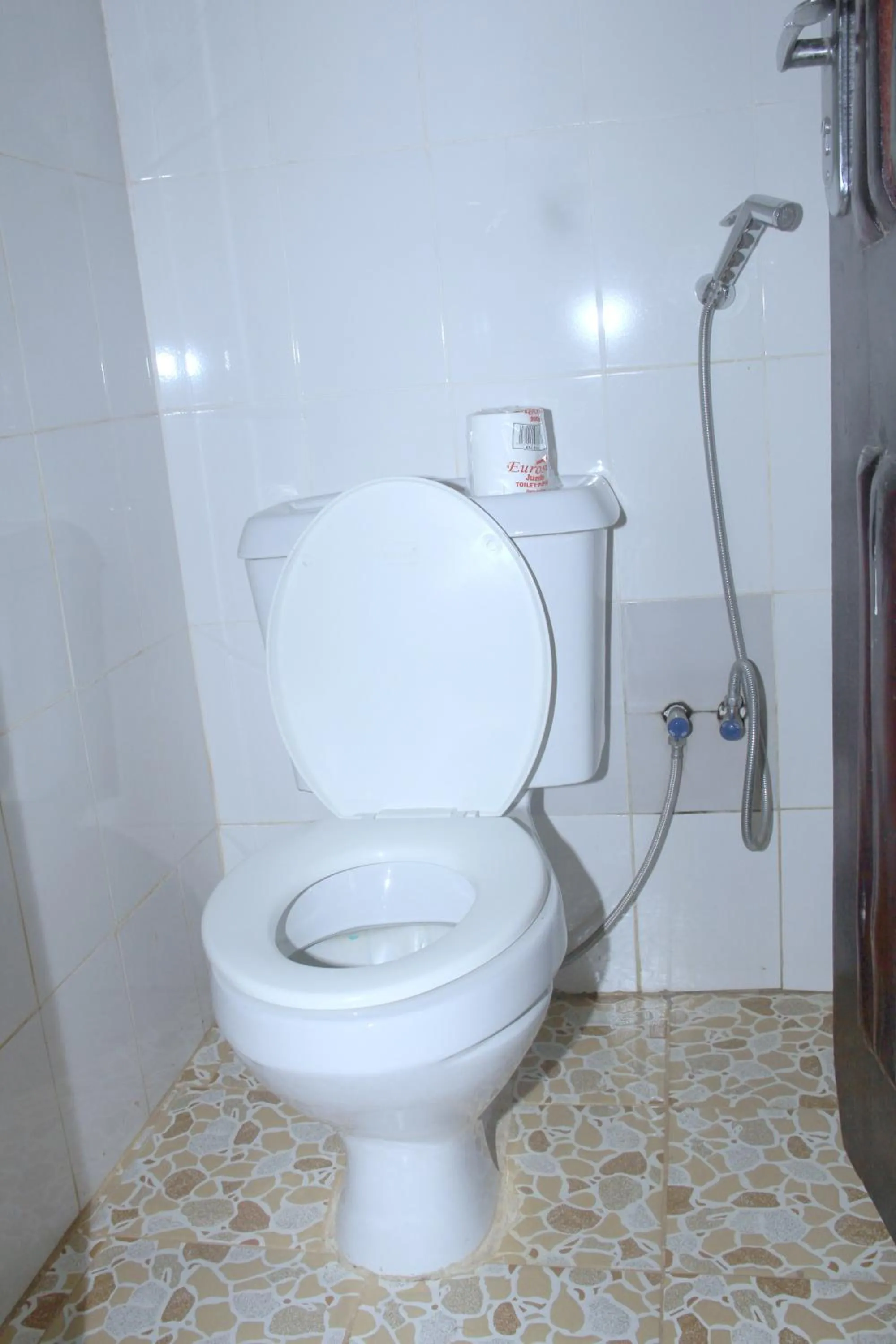 Elite Backpackers Services