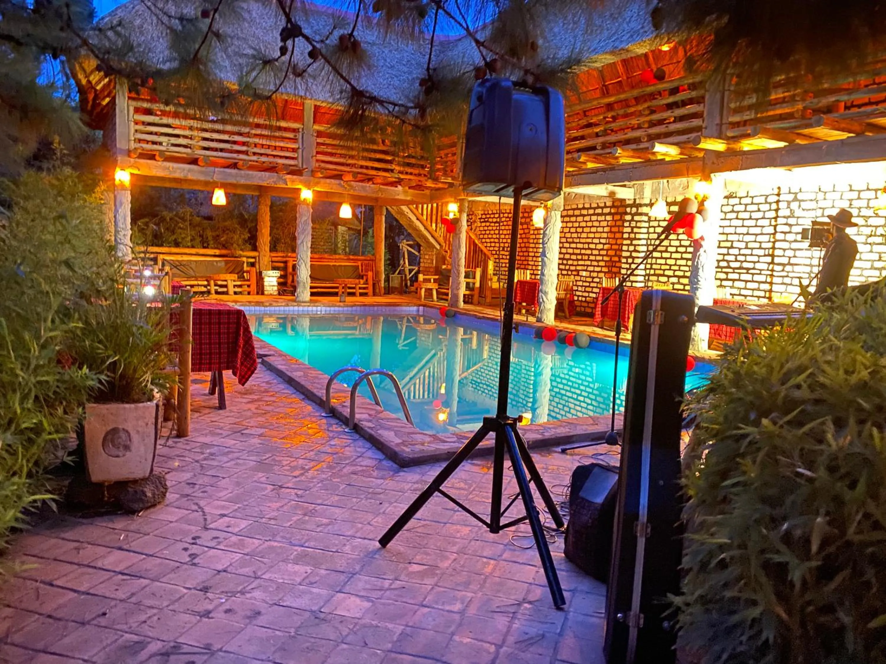 sunbed in Elite Backpackers Services