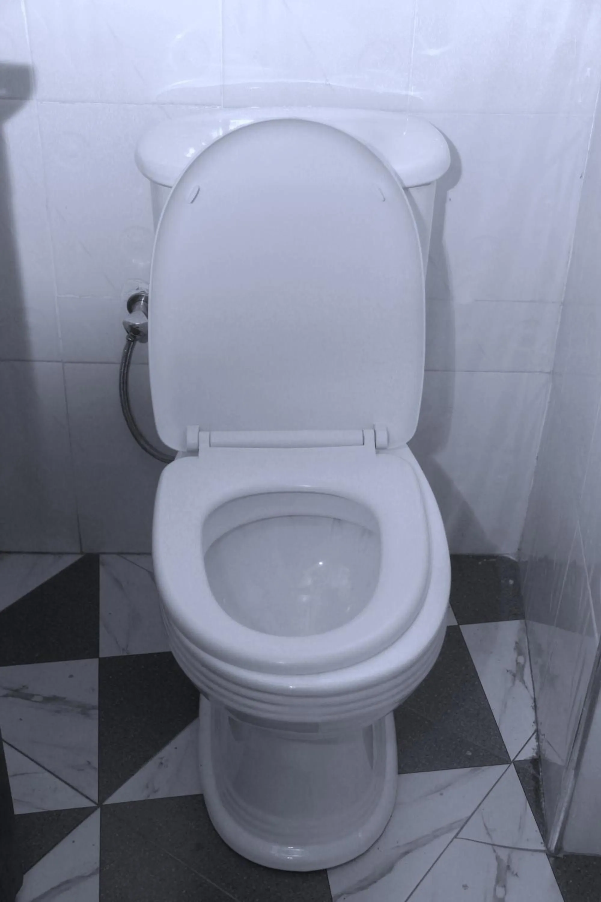 Elite Backpackers Services