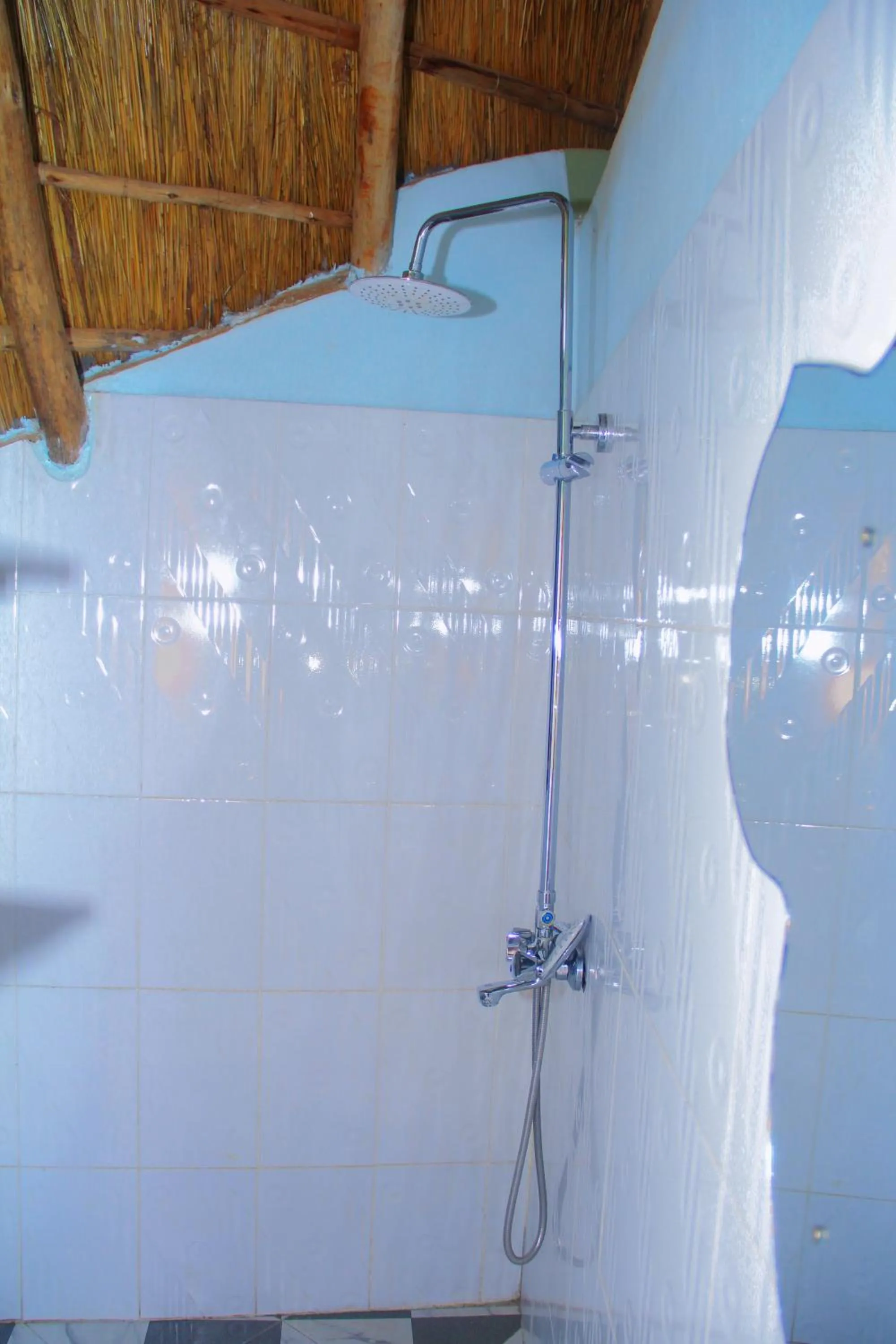 Elite Backpackers Services