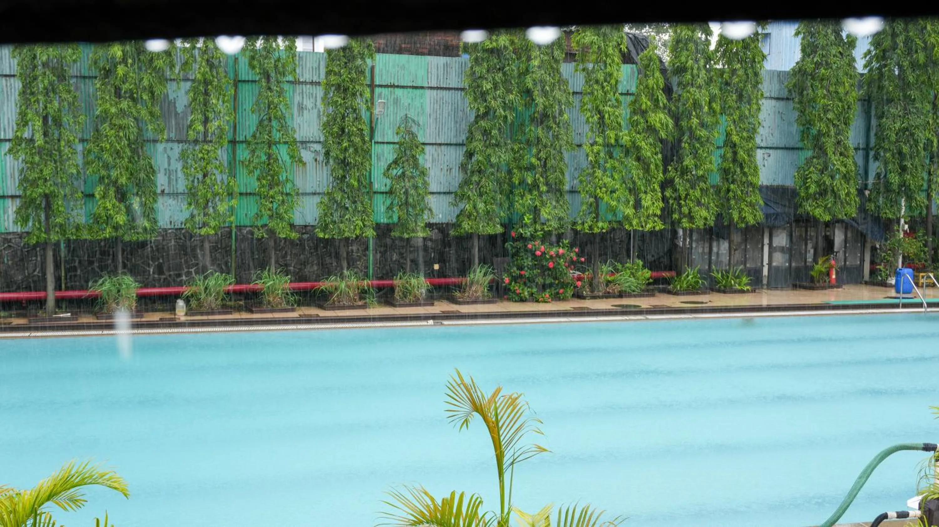 Swimming pool in Club Emerald