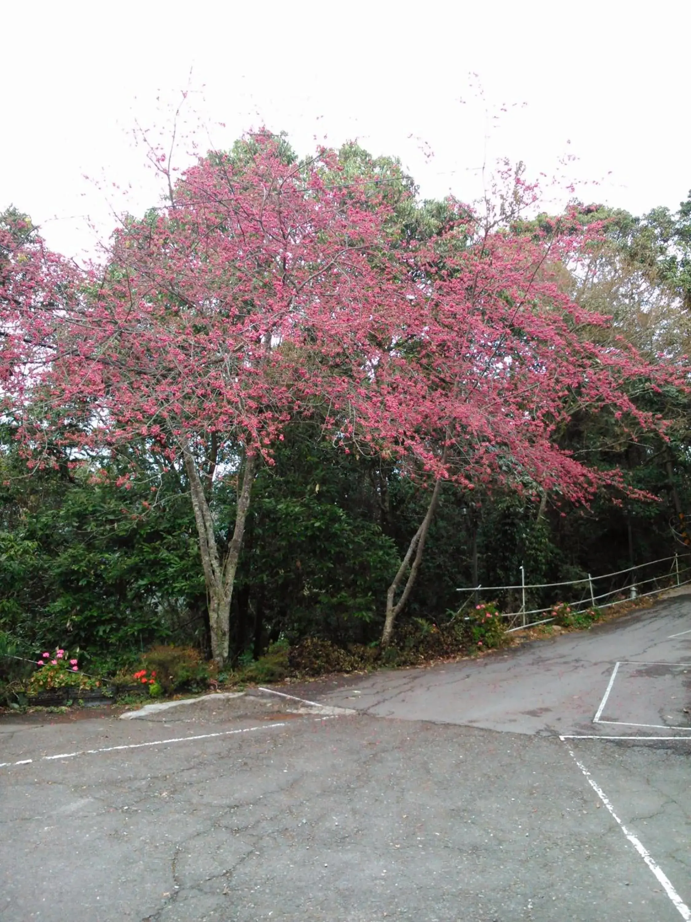 Property building in Bokelai B&B Property building in Bokelai B&B