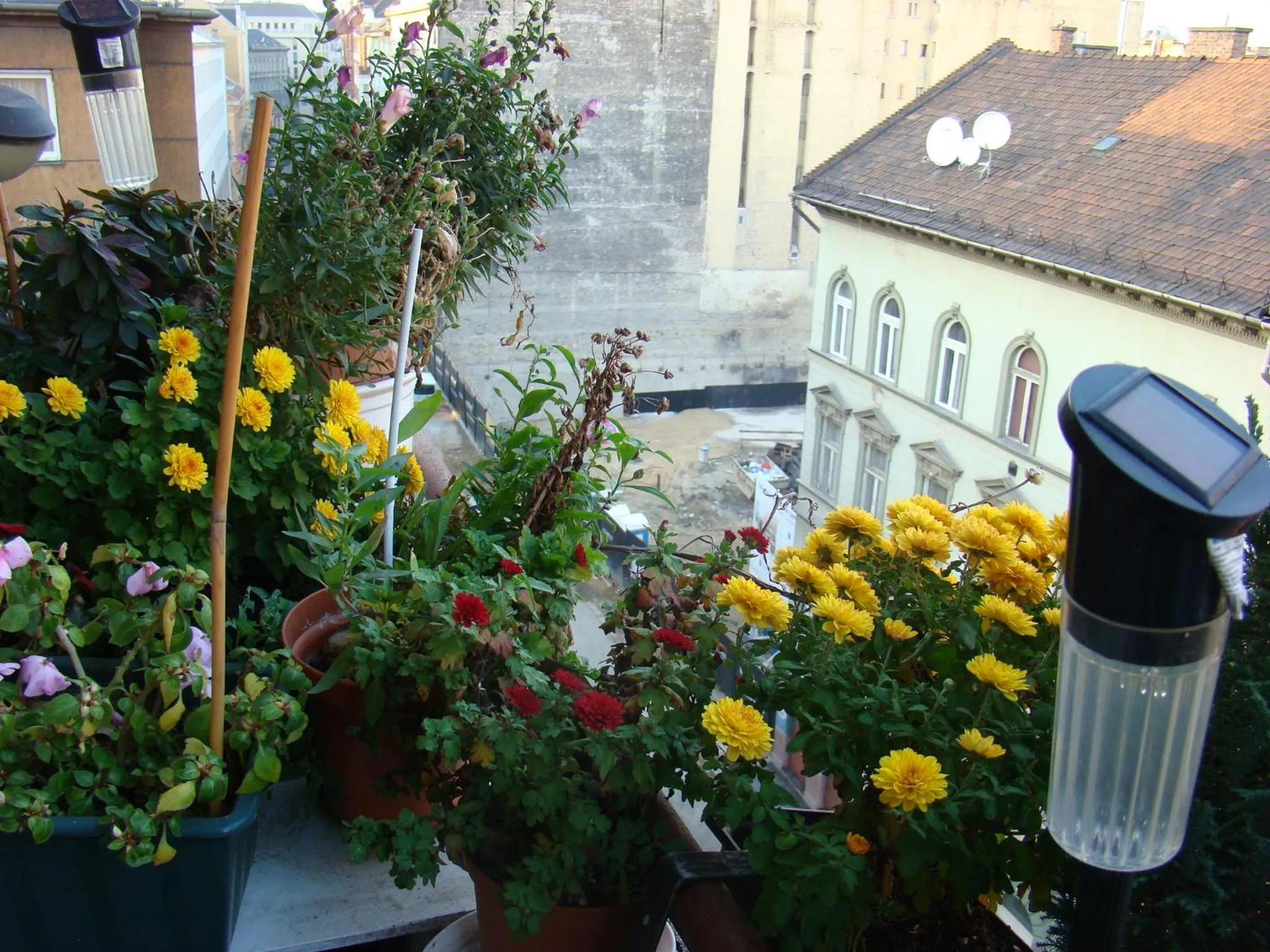 Lonyay Street Apartment