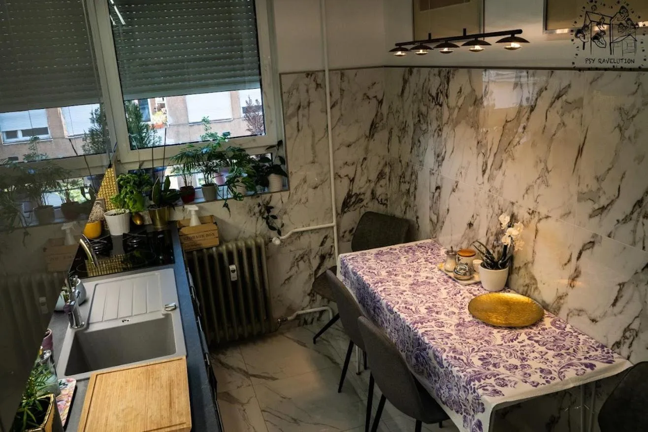 Lonyay Street Apartment