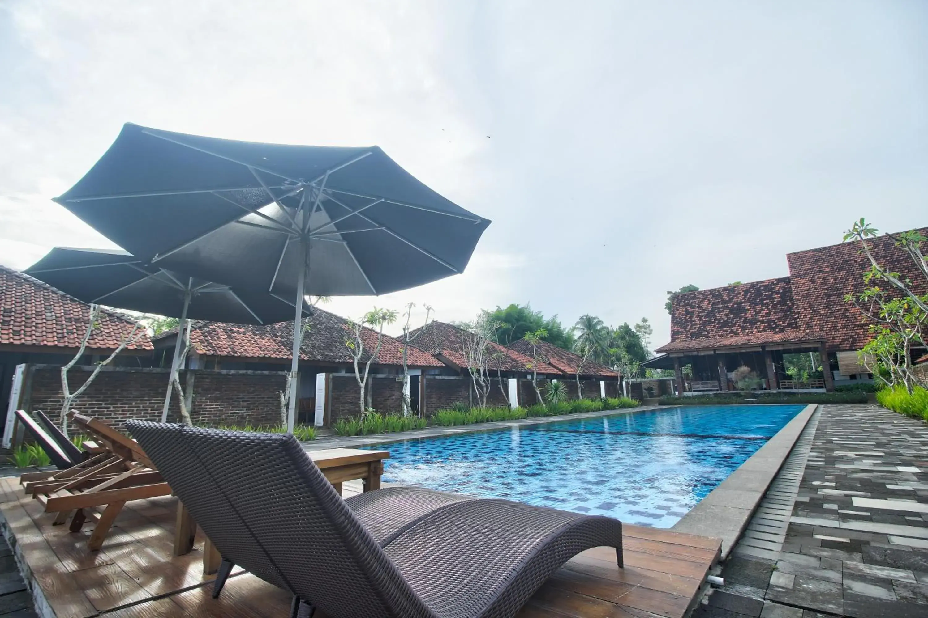 Swimming pool in Shankara Borobudur Swimming pool in Shankara Borobudur