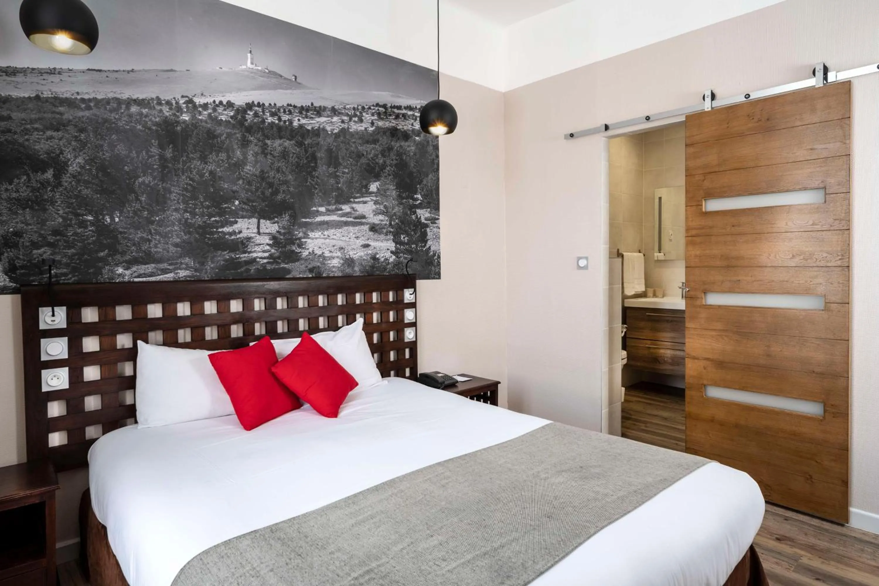 Photo of the whole room in Best Western Le Comtadin