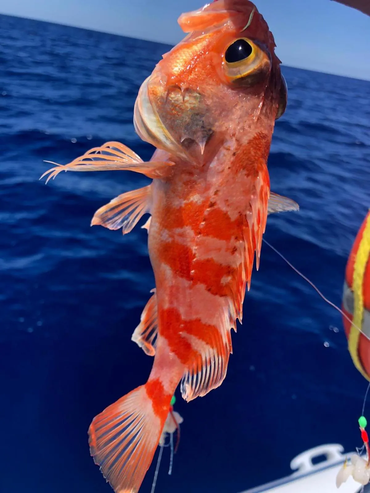 Fishing in B&B Filomena