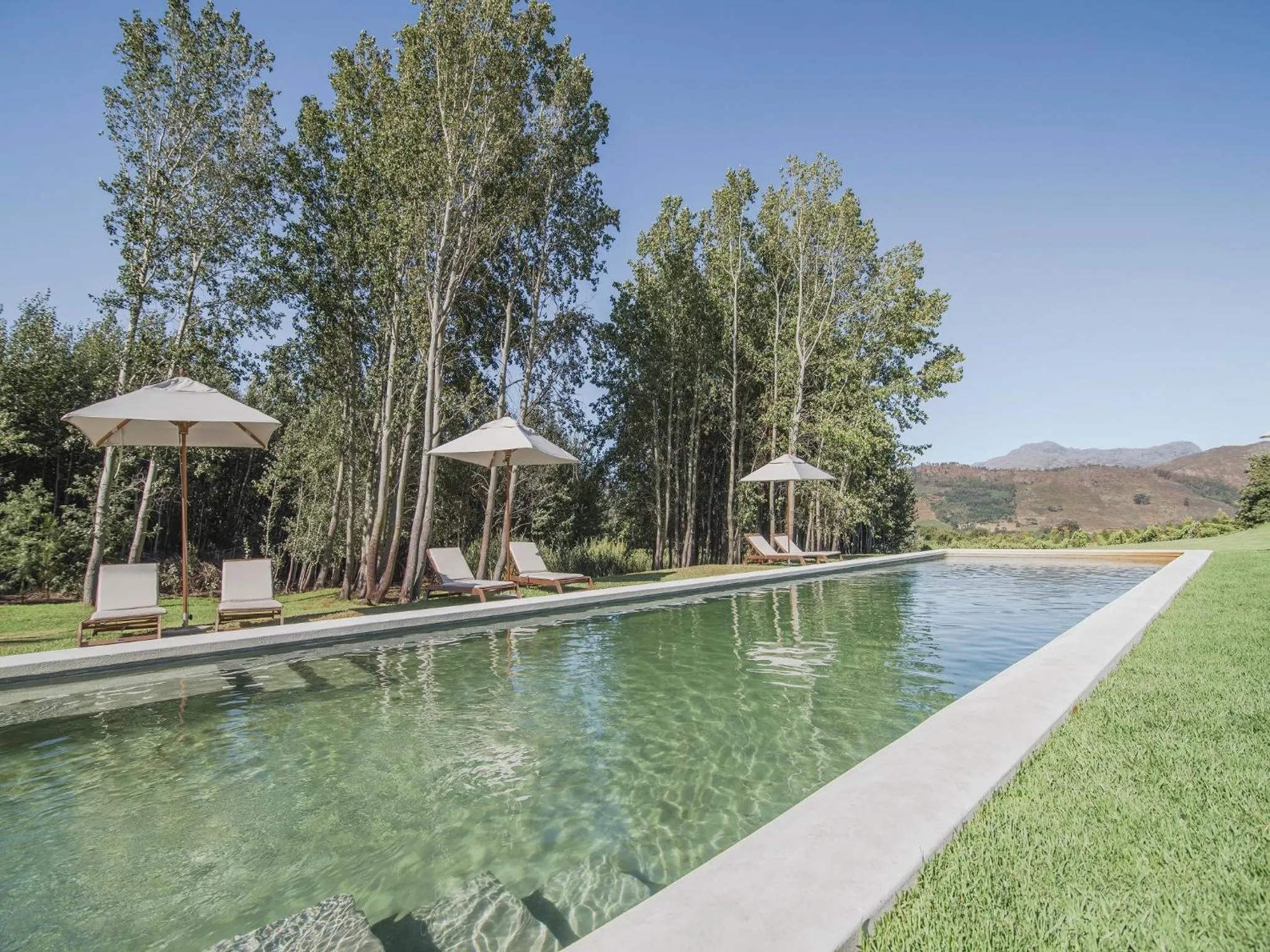 Spring in La Cotte Forest Cottages