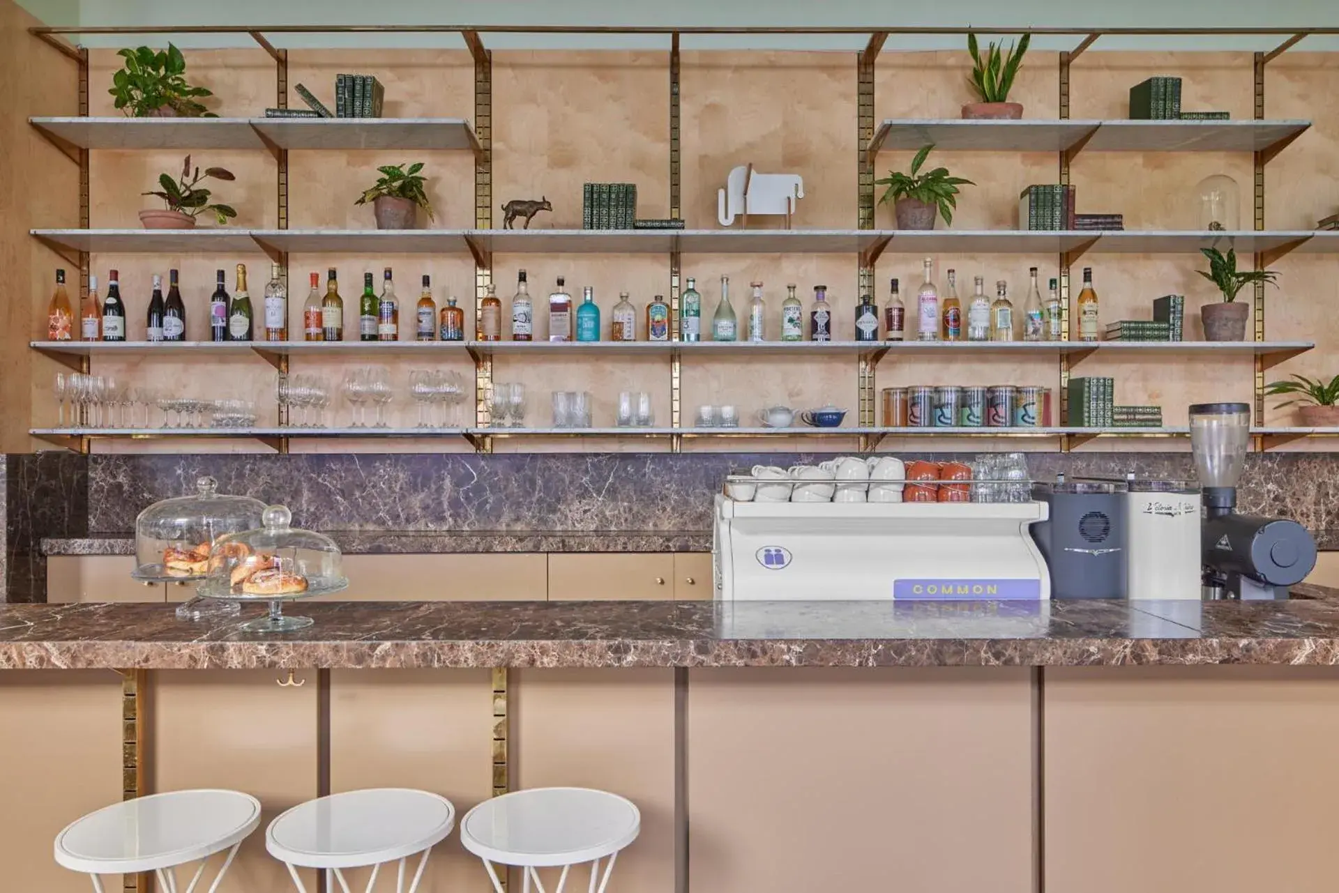 Lounge or bar in Eden Locke Lounge or bar in Eden Locke