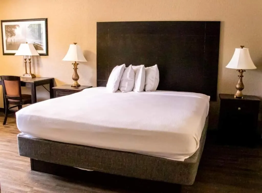 Bed in Econo Lodge Vidalia