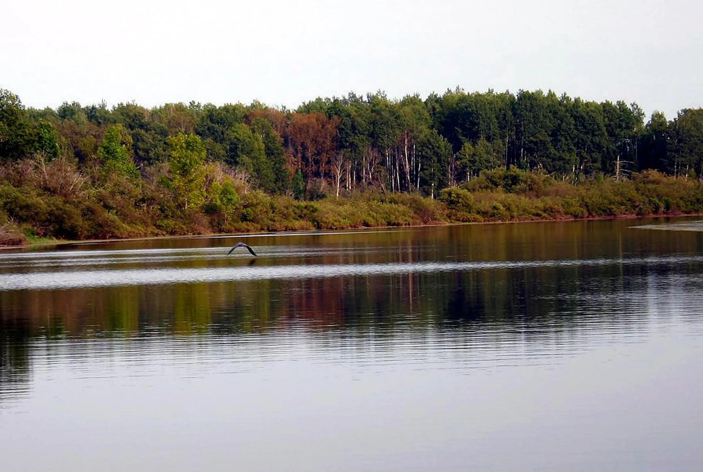 Day in Au Soleil Couchant