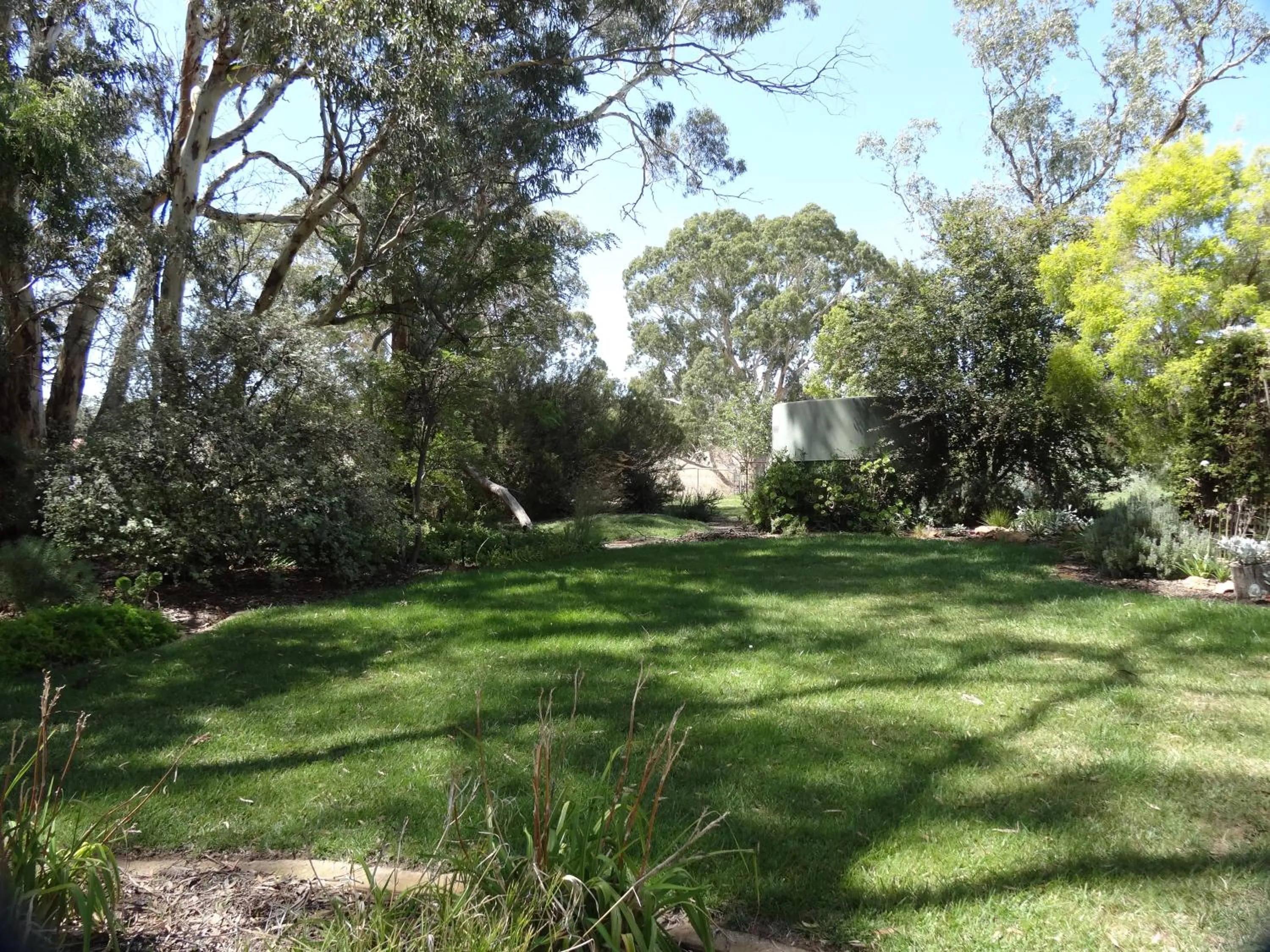 Garden view in Mapperley Bed and Breakfast