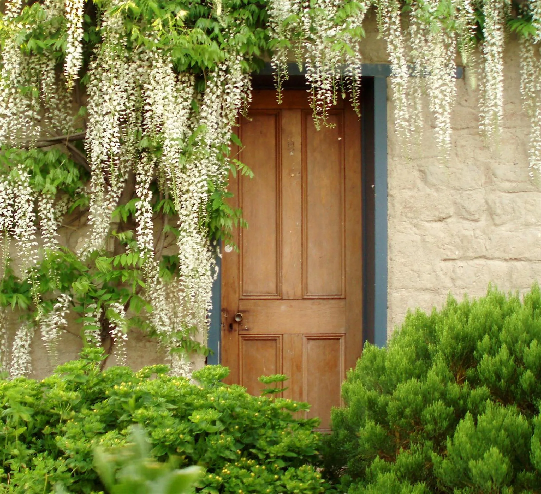 Bed in Muddy Creek Cutting