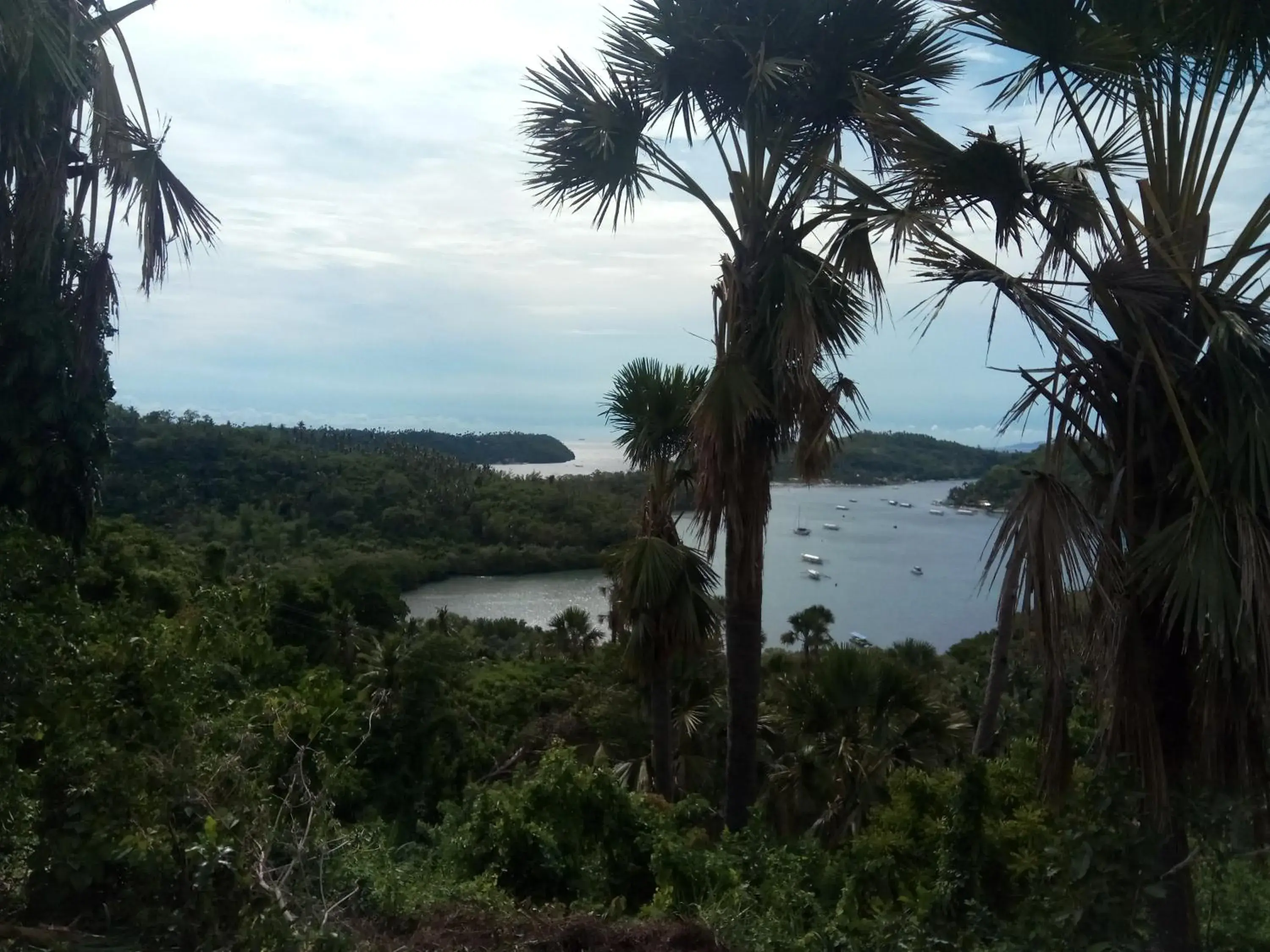 View (from property/room) in Dahilig Resort View (from property/room) in Dahilig Resort