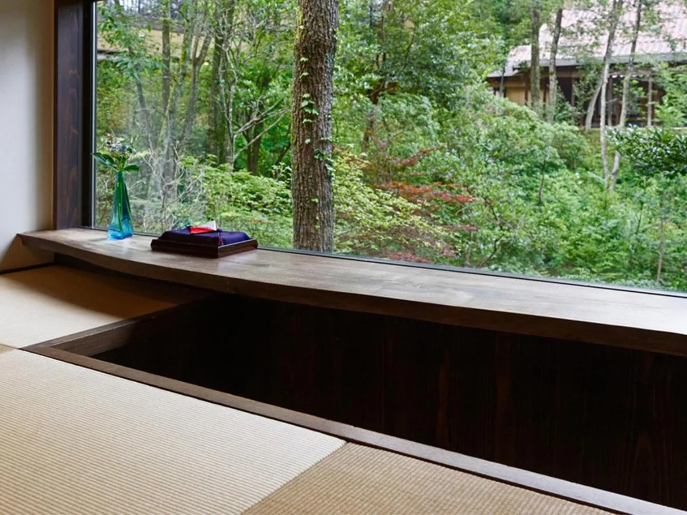 Photo of the whole room in Ryokan Nushiya