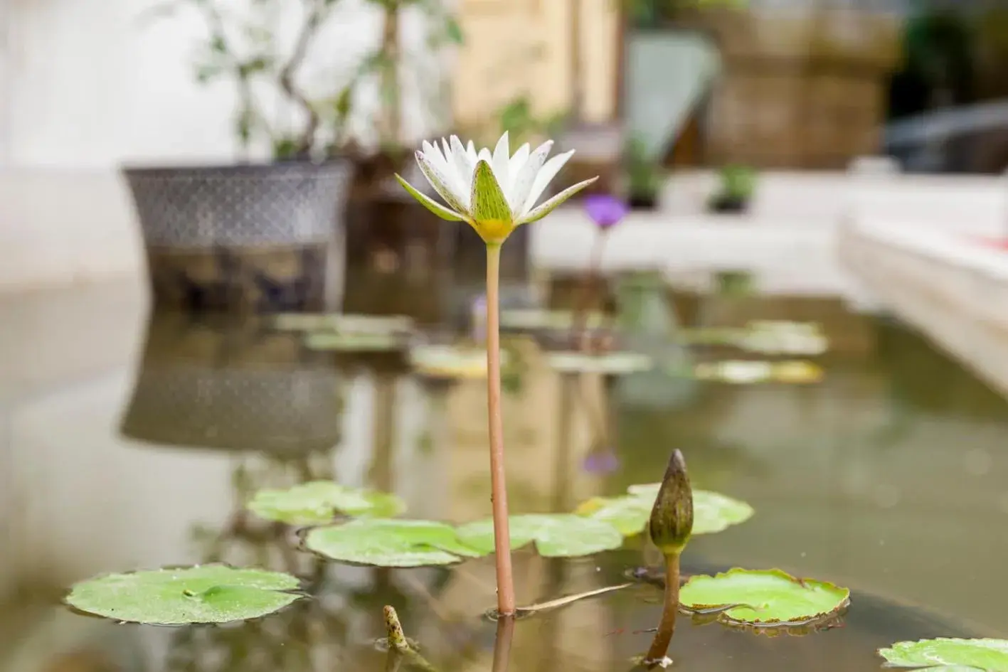 Central Boutique Hotel Central Boutique Hotel