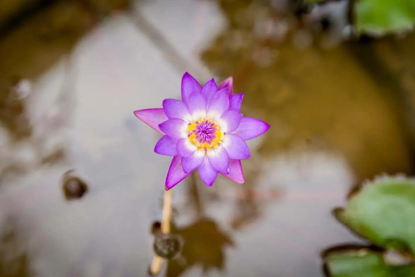 Central Boutique Hotel Central Boutique Hotel