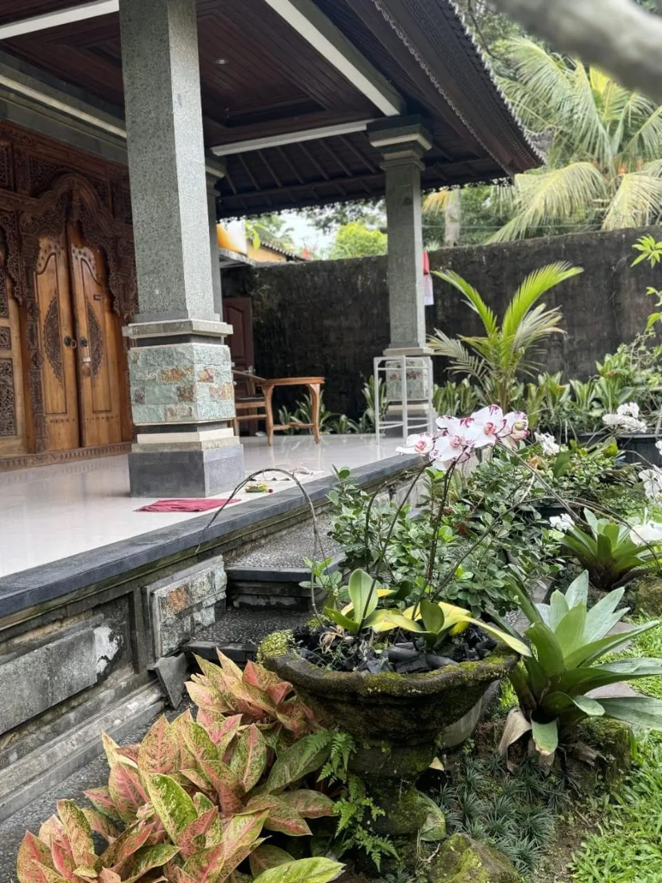 Cucu House