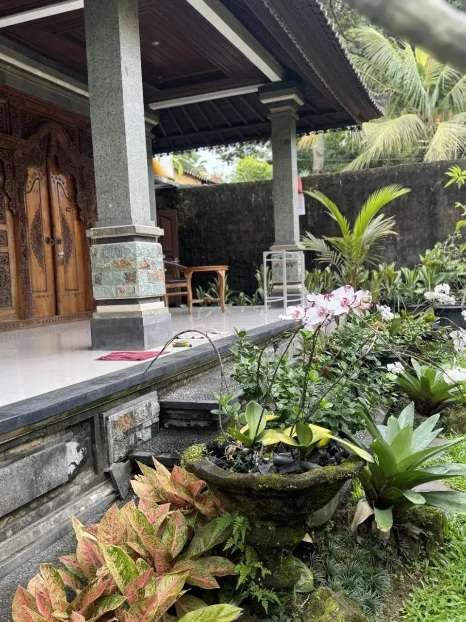 Cucu House Cucu House