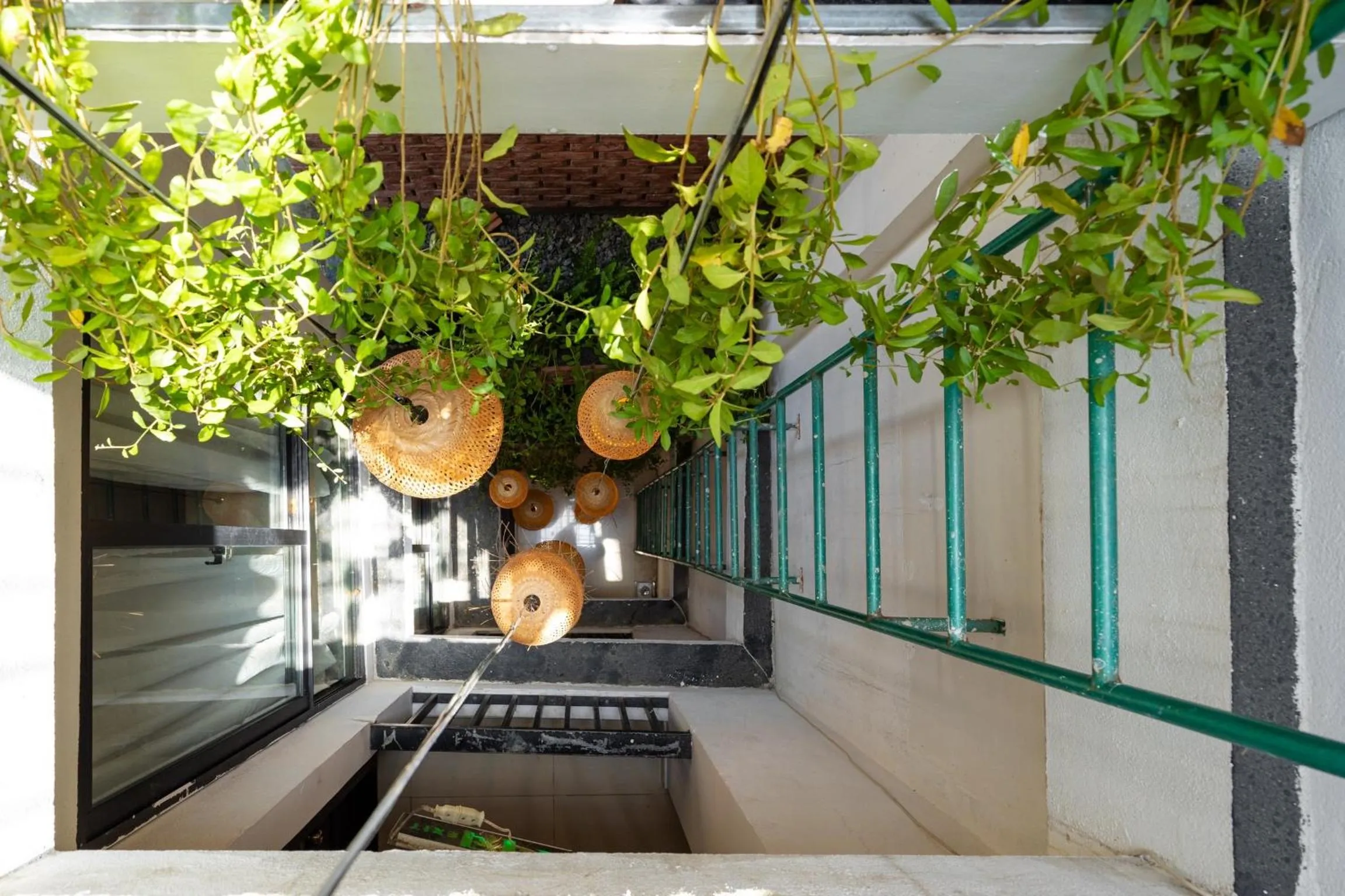 Tribee Cotu - Hostel