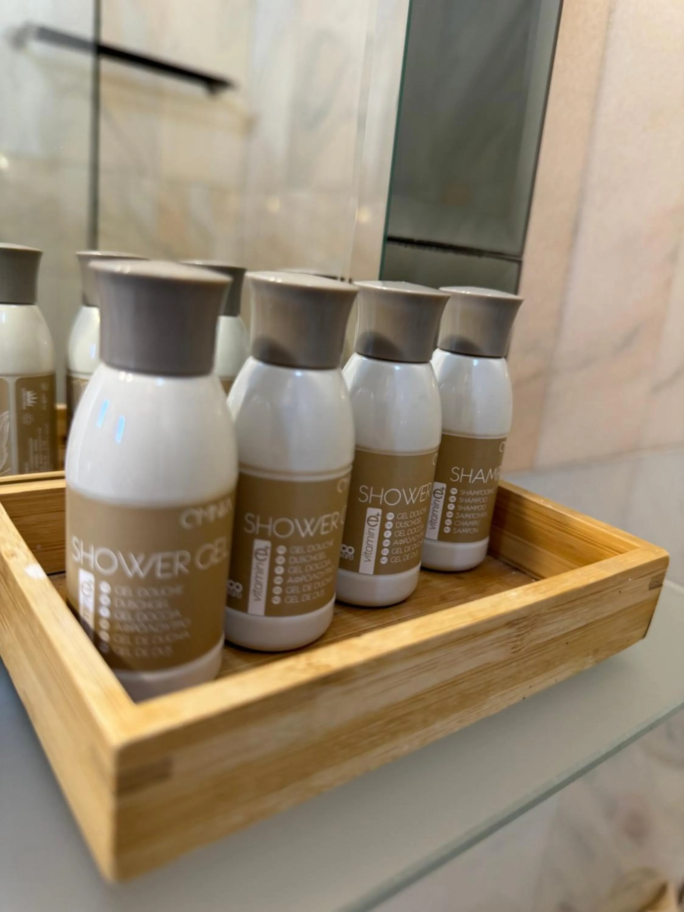 Bathroom in Cetatea Medievala