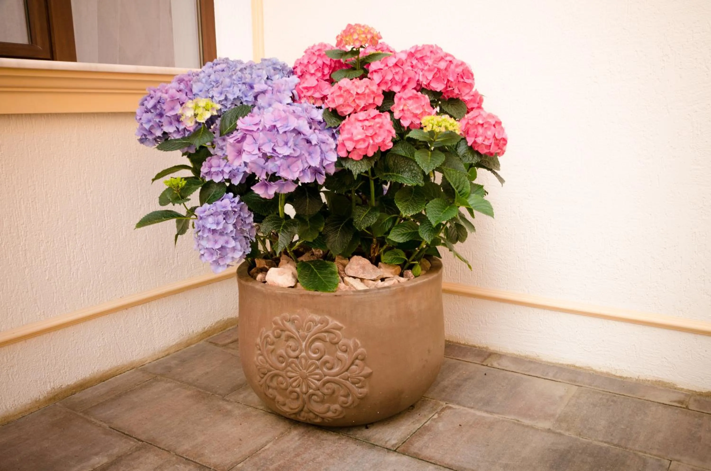 Decorative detail in Cetatea Medievala