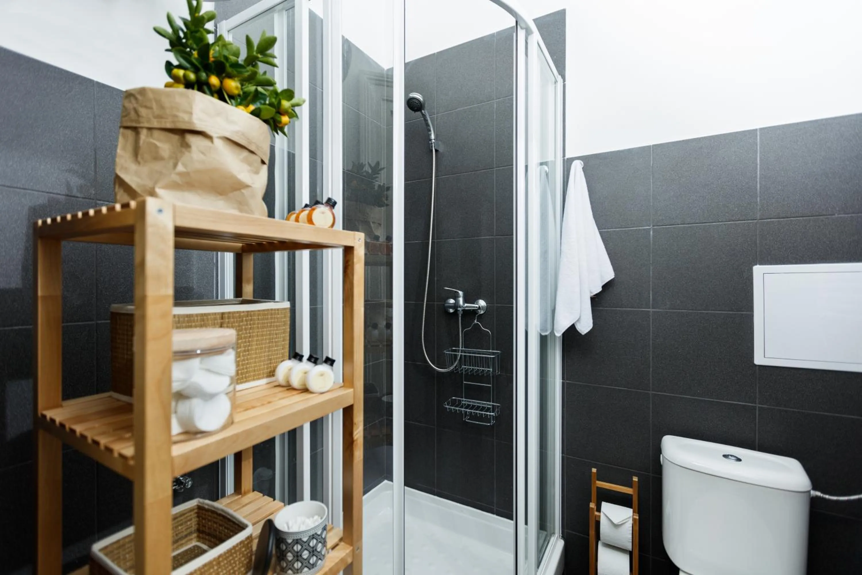 Shower in Chill apartments