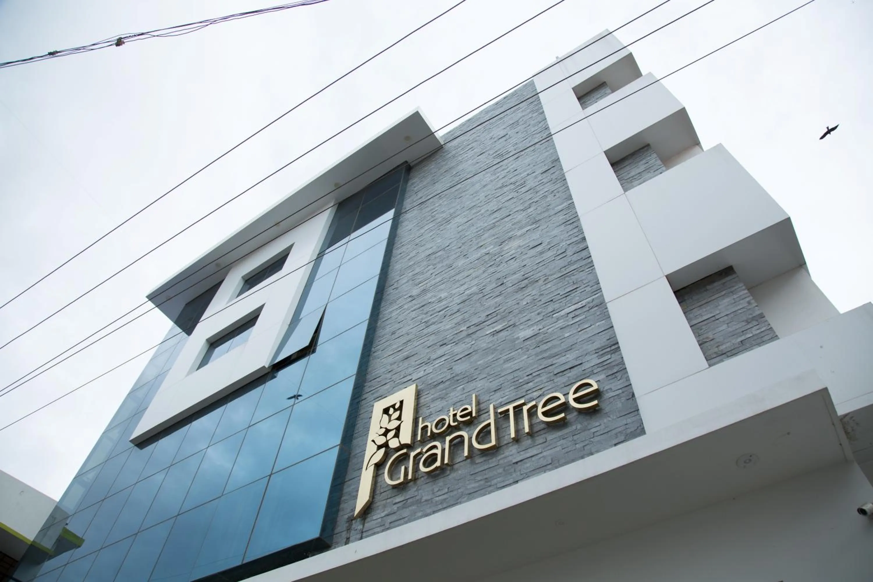 Hotel Grand Tree
