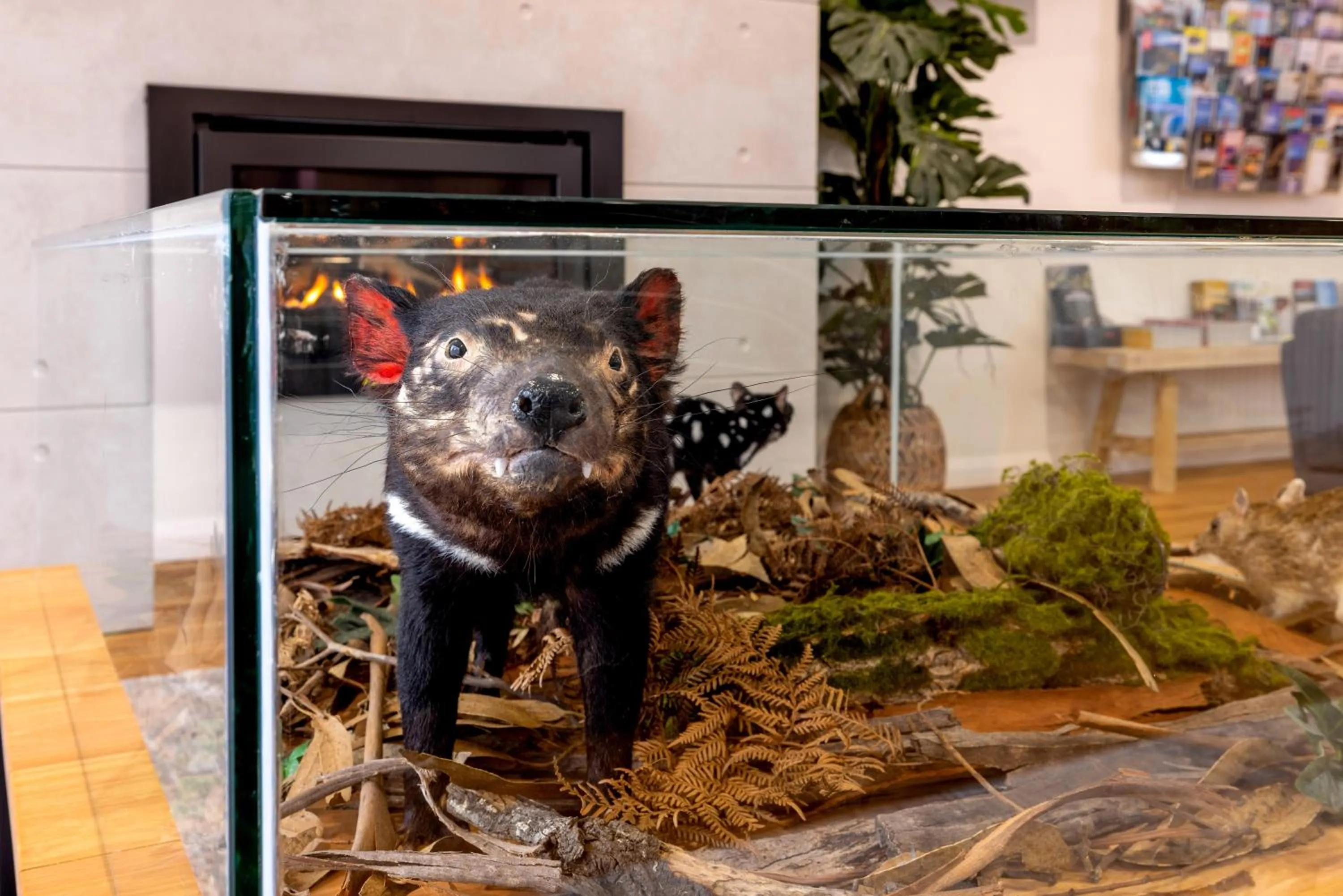 Property building in BIG4 Launceston Holiday Park