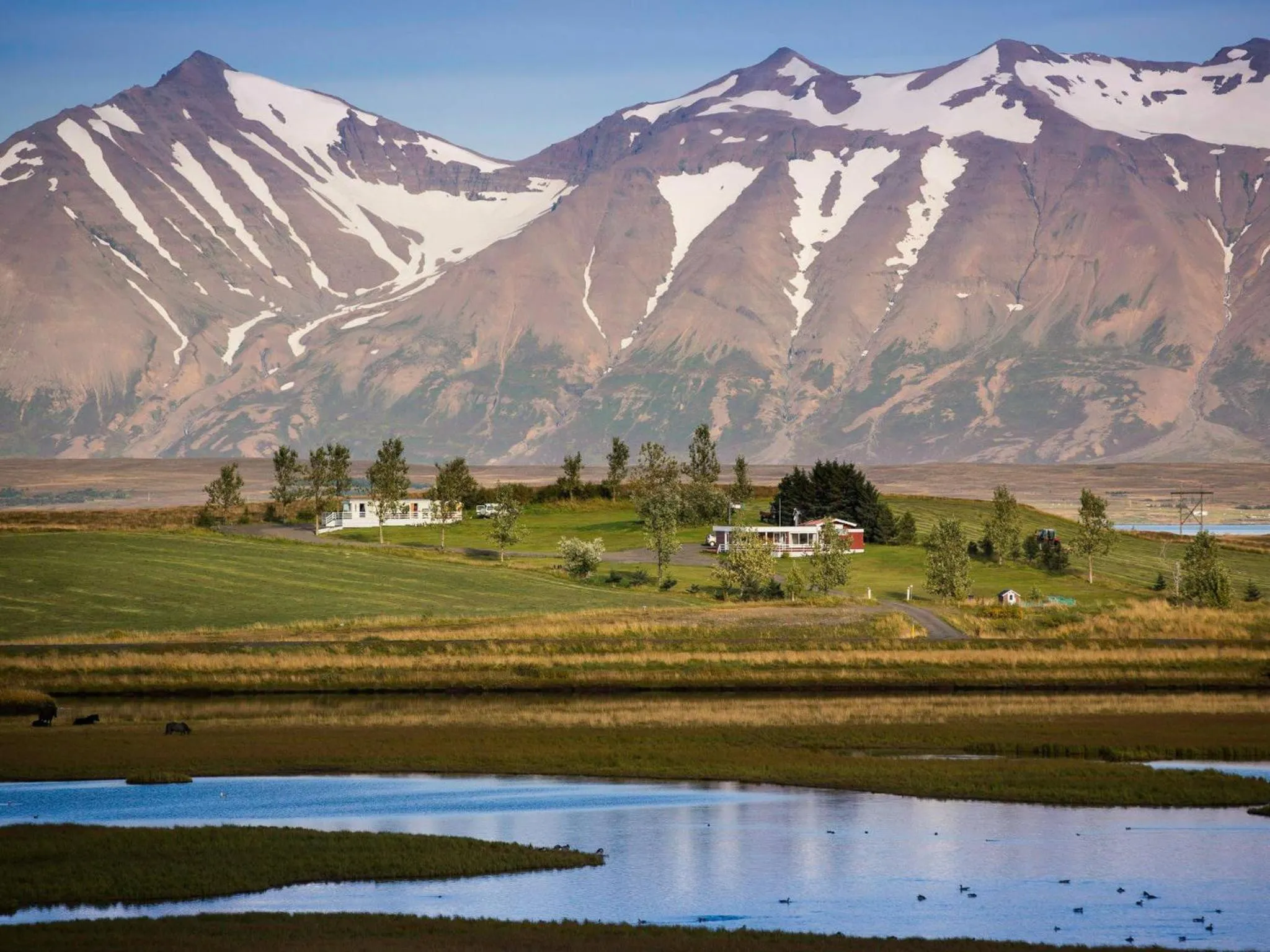 Höfði Cottages