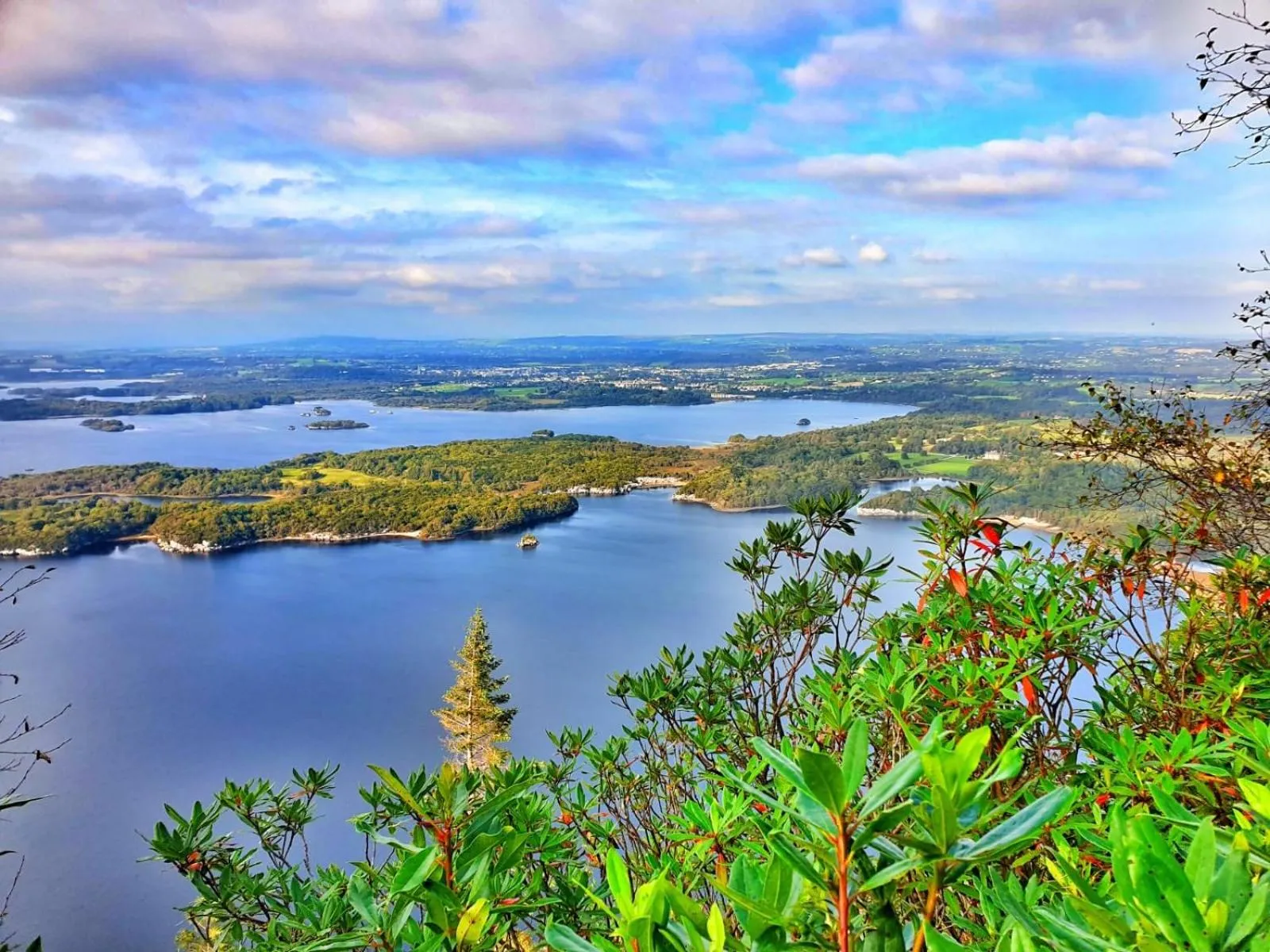 Killarney Randles Hotel