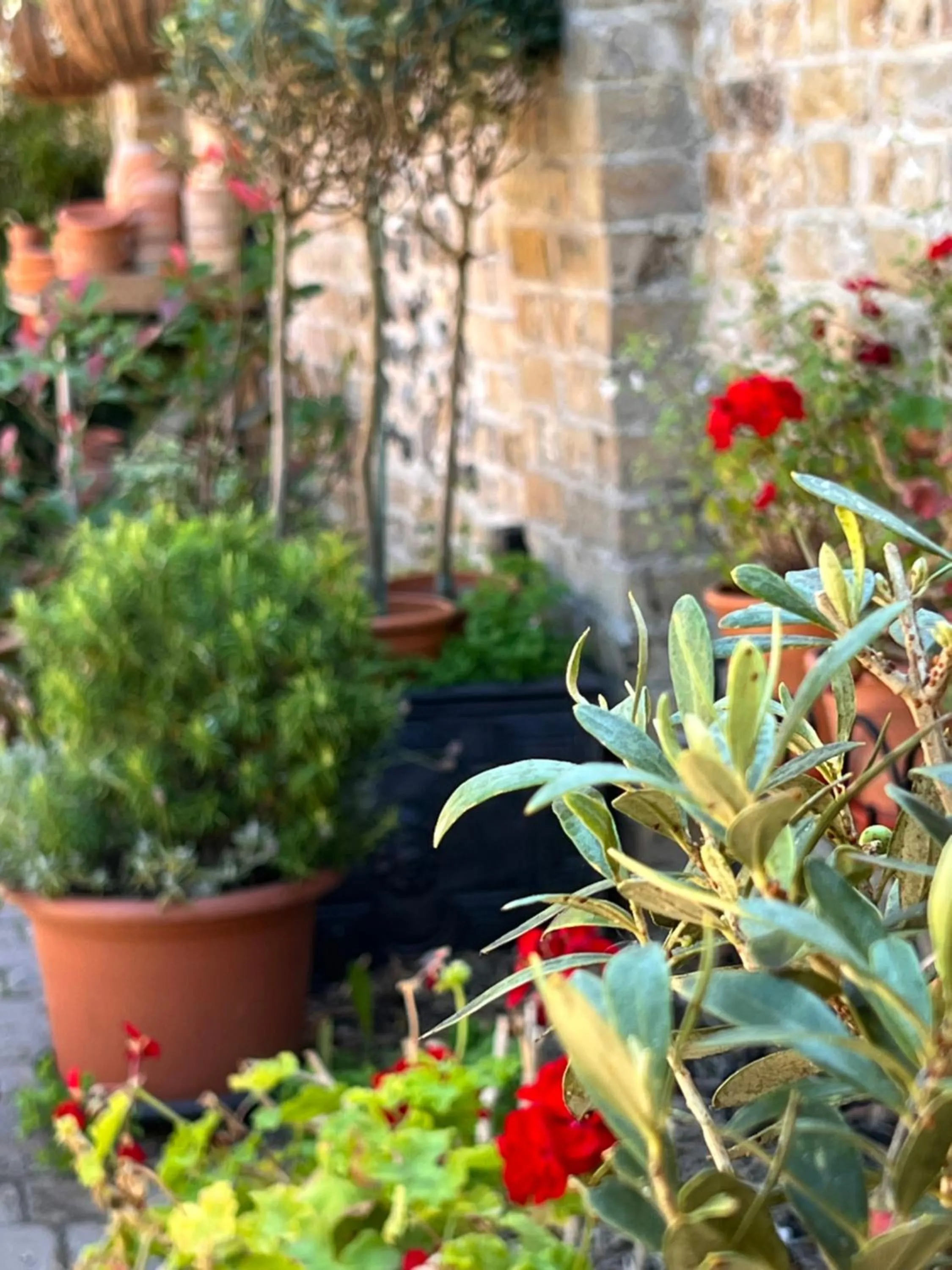 Summer in The Royal Harbour Hotel