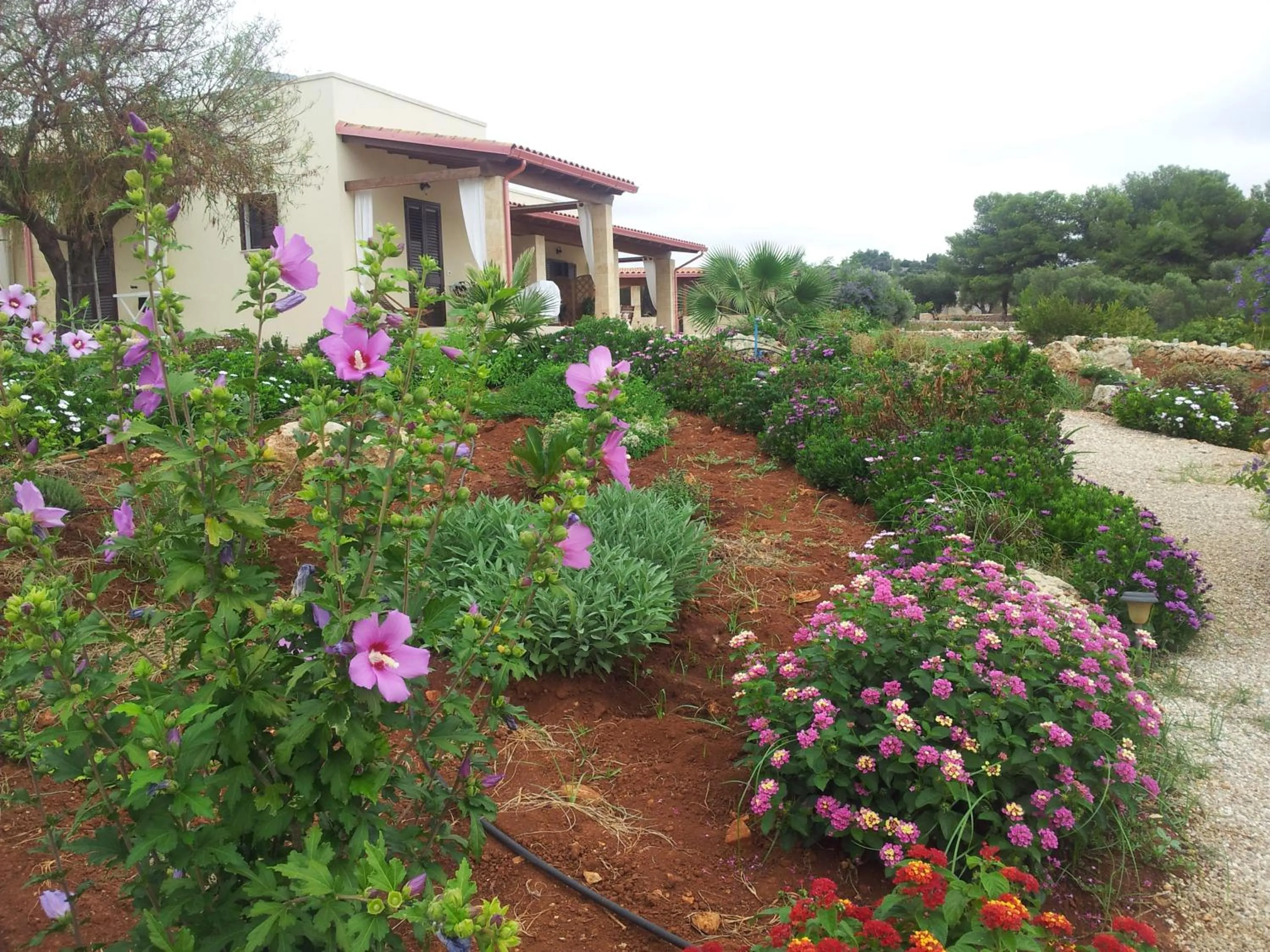 Property building in Le Fanciulle
