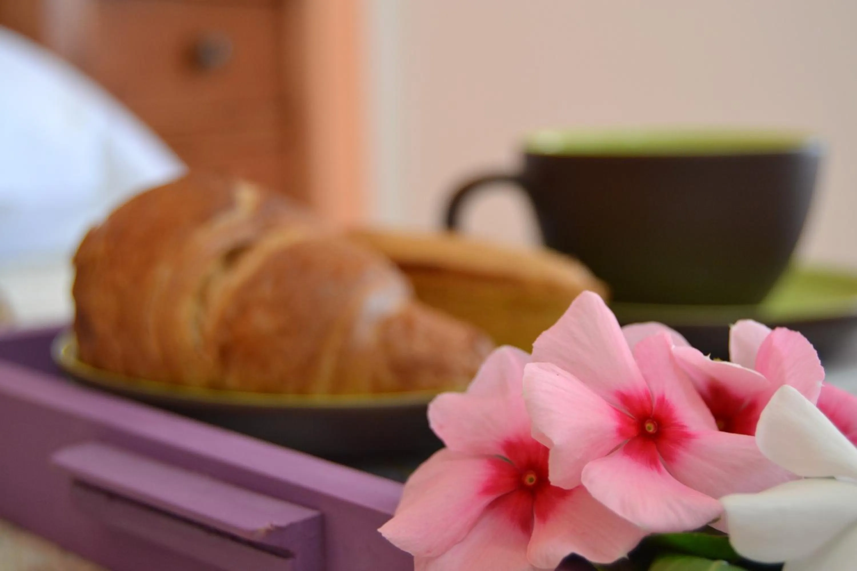 Food and drinks in Le Fanciulle