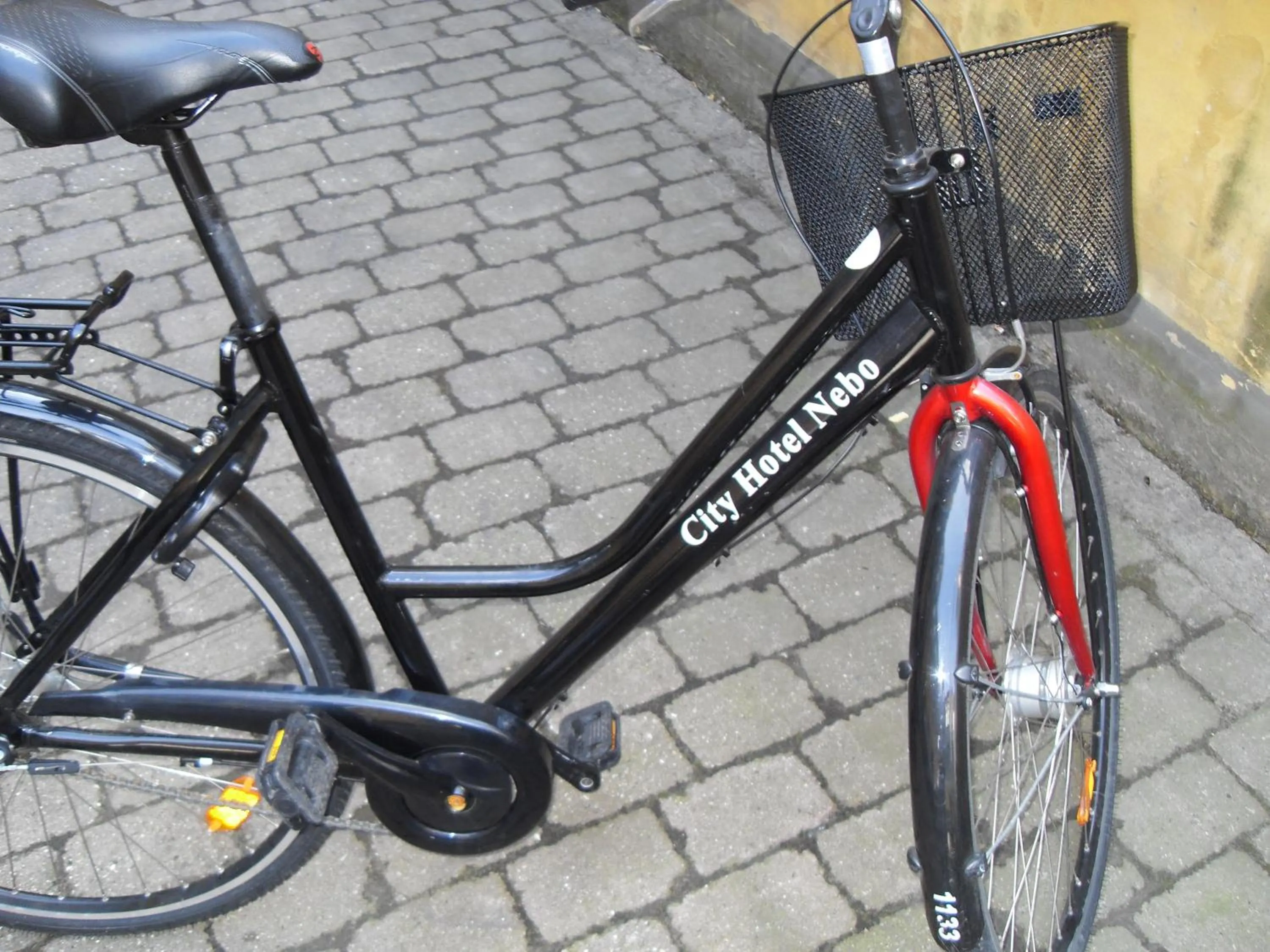 Cycling in City Hotel Nebo