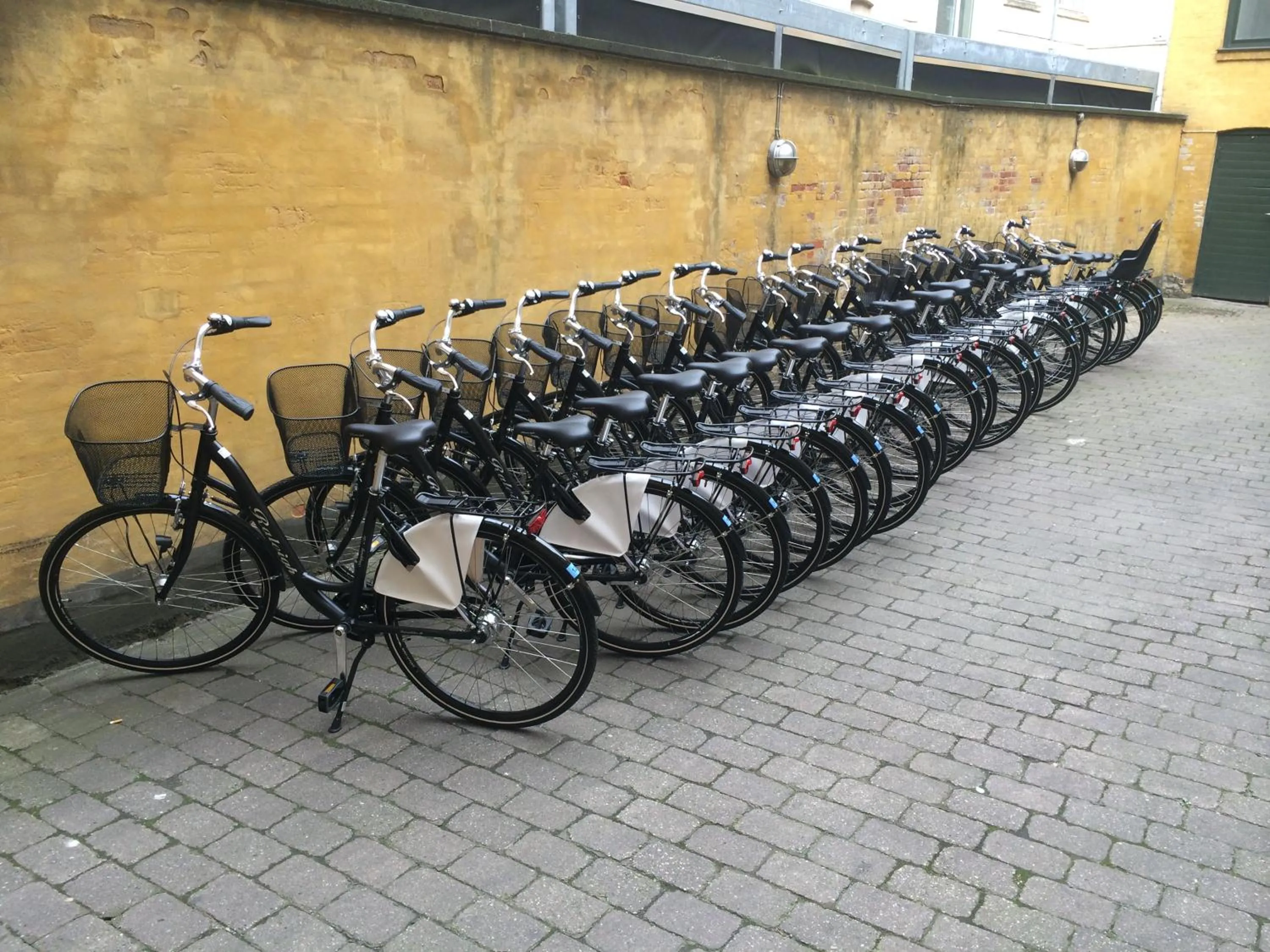 Cycling in City Hotel Nebo