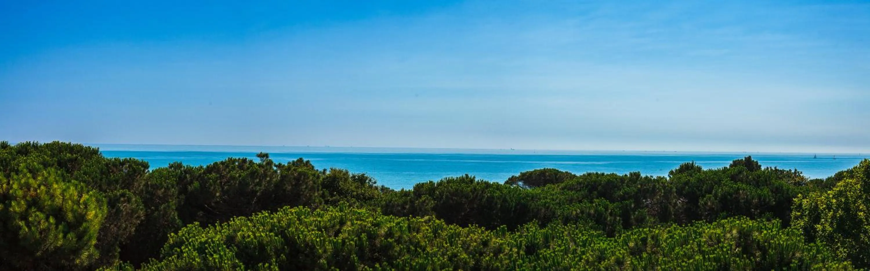 Sea view in Hotel San Pietro