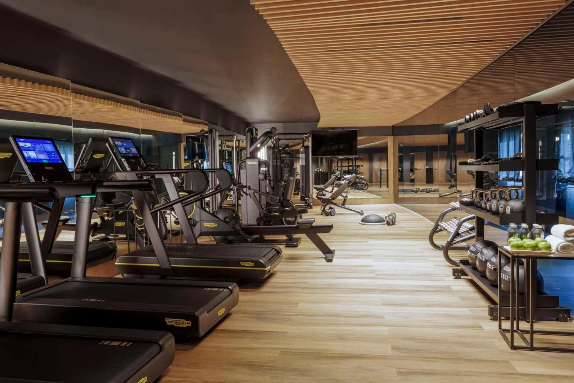 Fitness centre/facilities in Anantara Palazzo Naiadi Rome Hotel - A Leading Hotel of the World