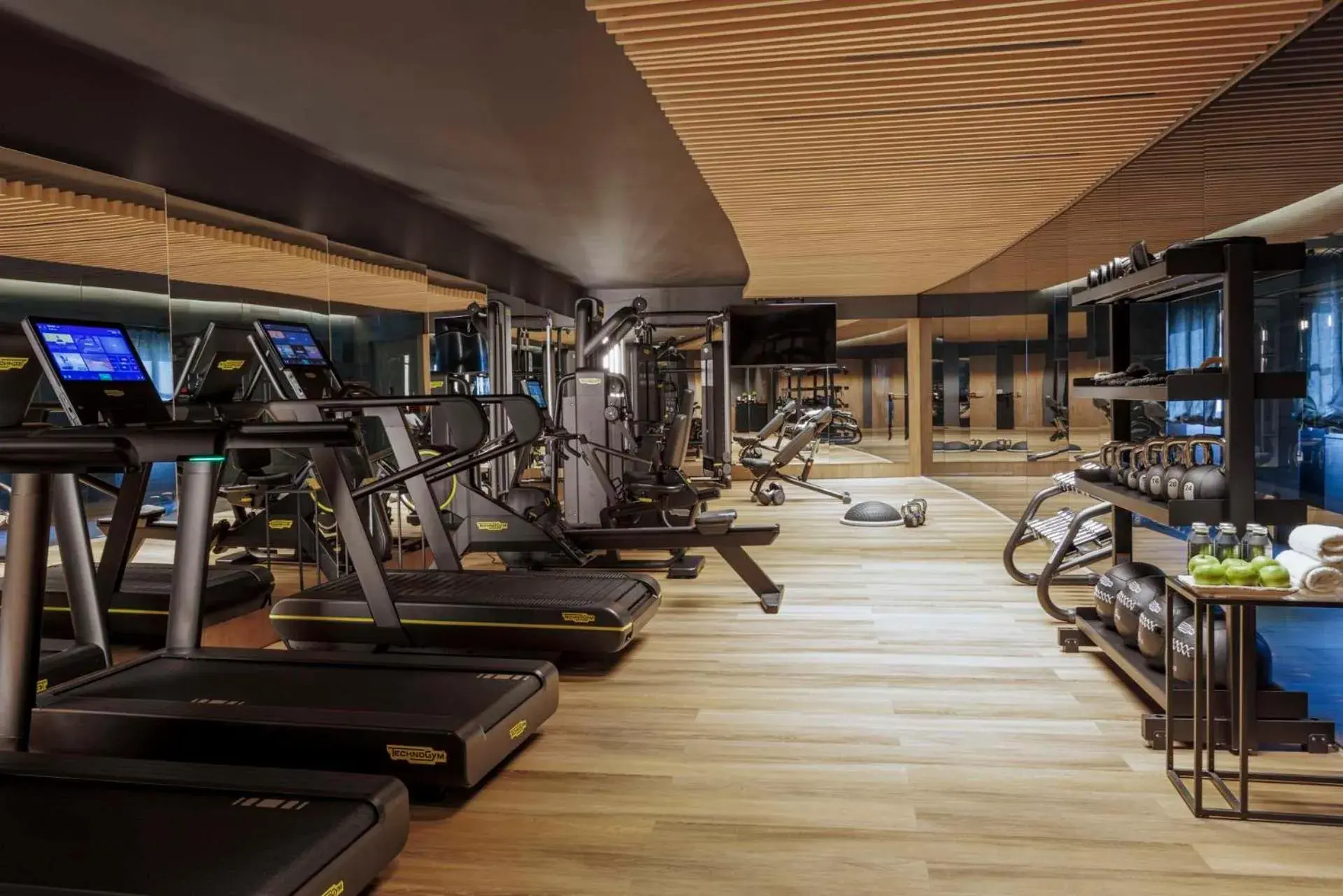 Fitness centre/facilities in Anantara Palazzo Naiadi Rome Hotel - A Leading Hotel of the World Fitness centre/facilities in Anantara Palazzo Naiadi Rome Hotel - A Leading Hotel of the World