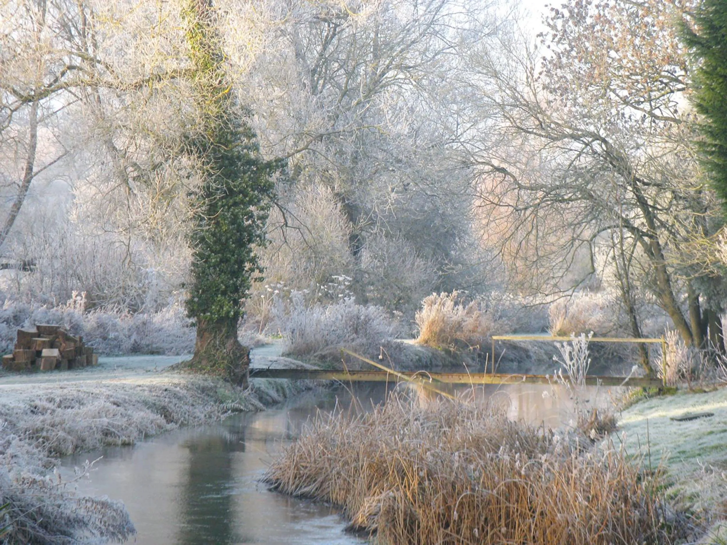 Garden view in Old Swan