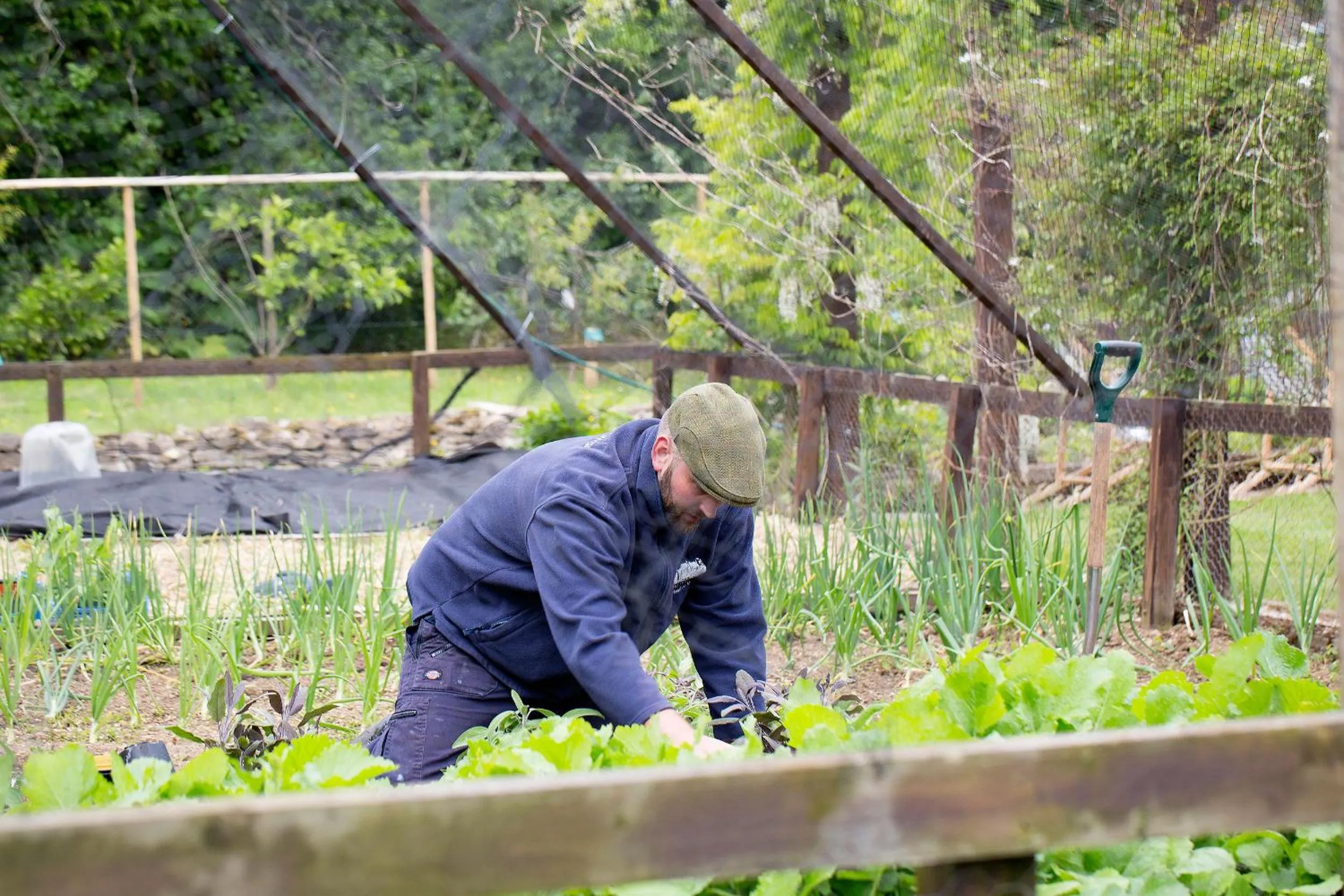 Natural landscape in Old Swan