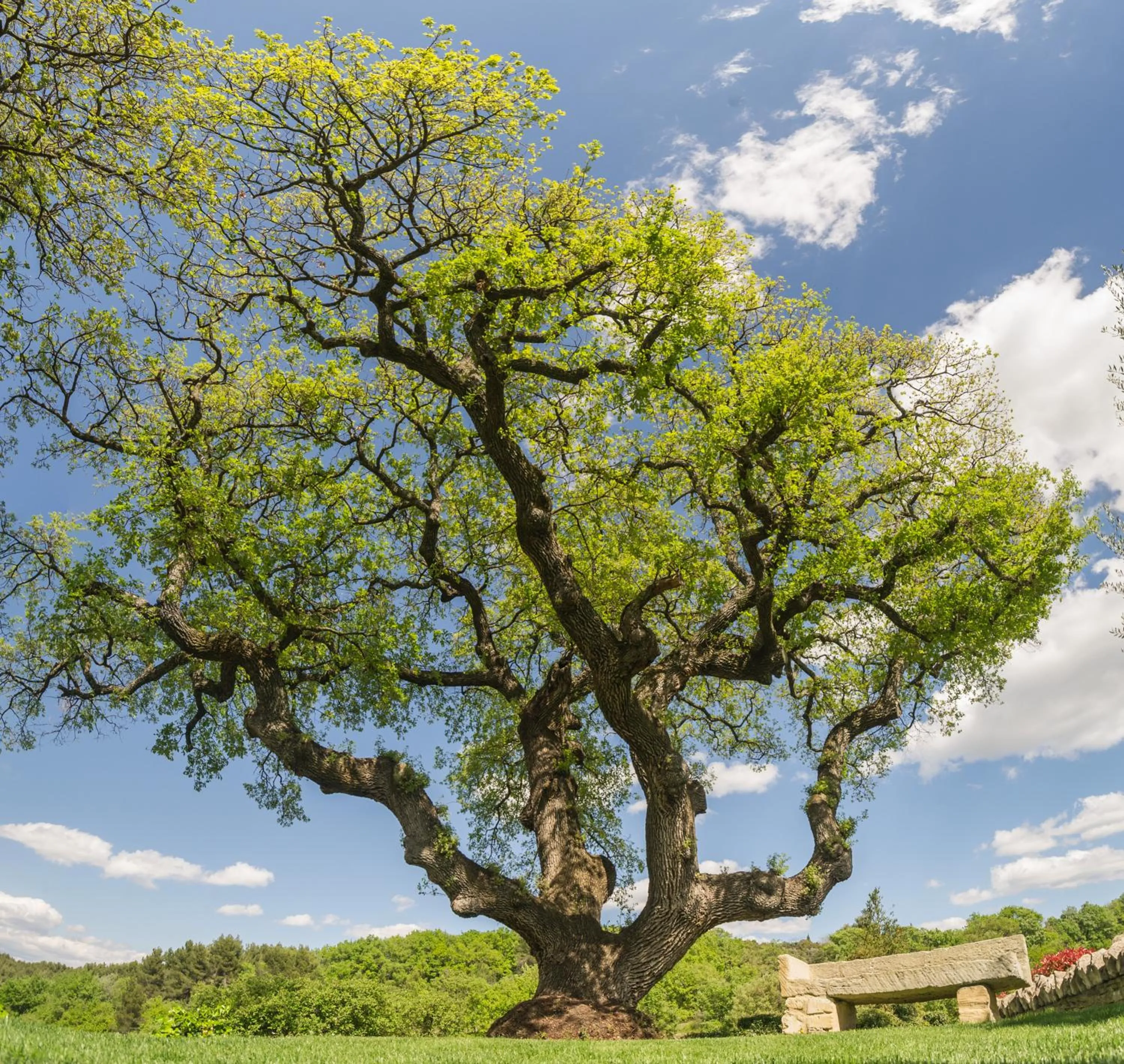 Garden in Domaine Les Roullets