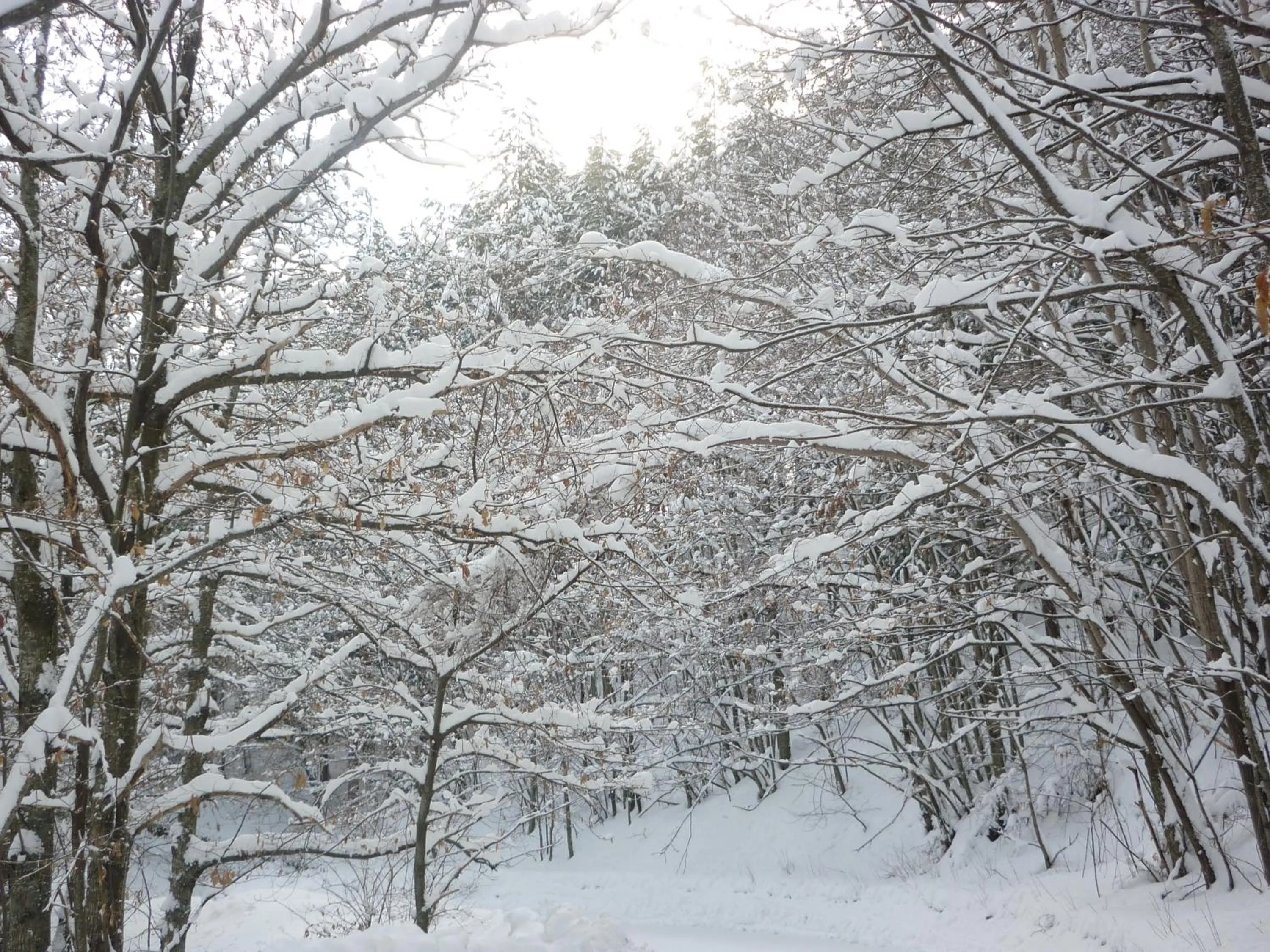 Winter in Casa Sperandini