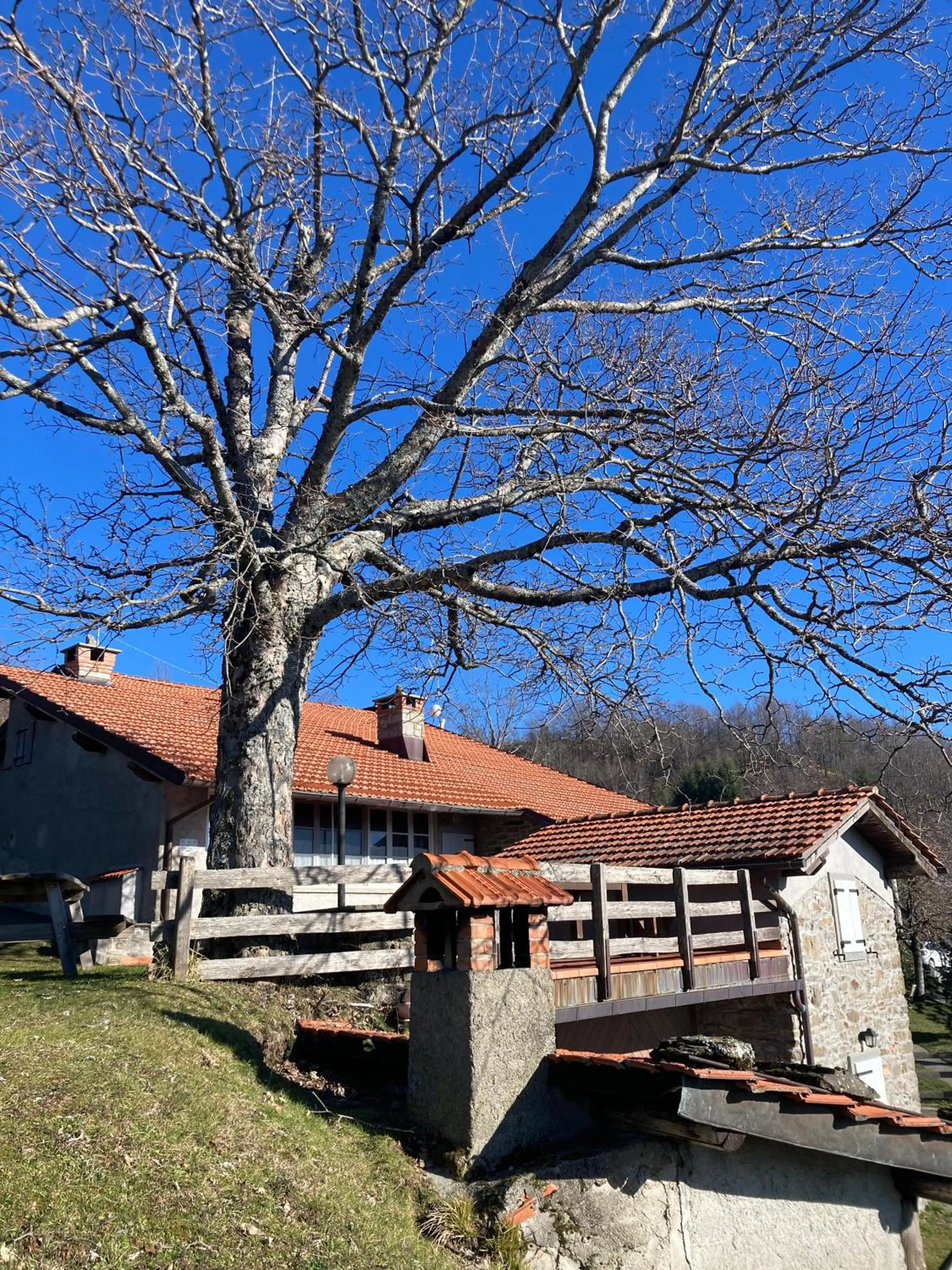 Property building in Casa Sperandini