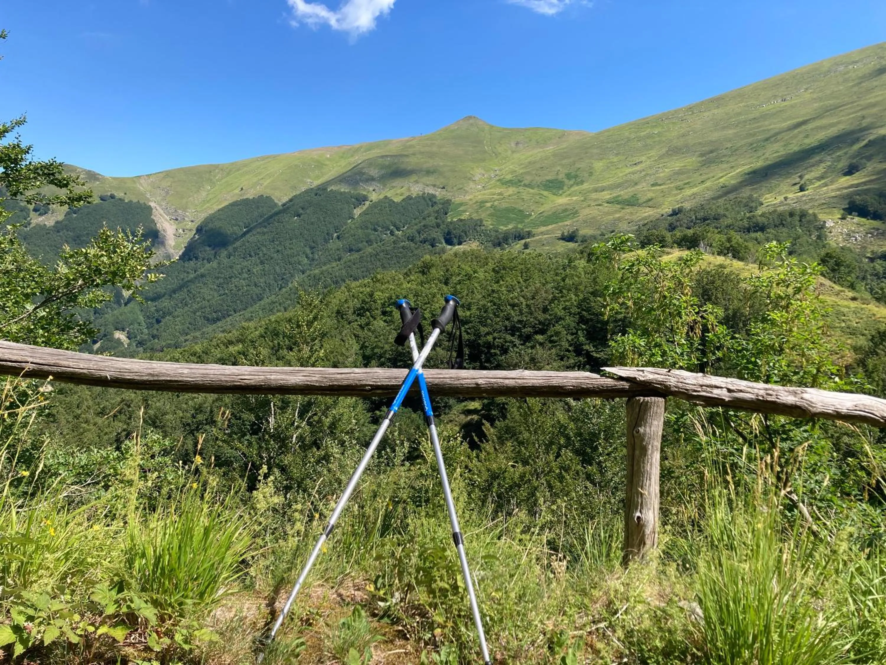 Natural landscape in Casa Sperandini