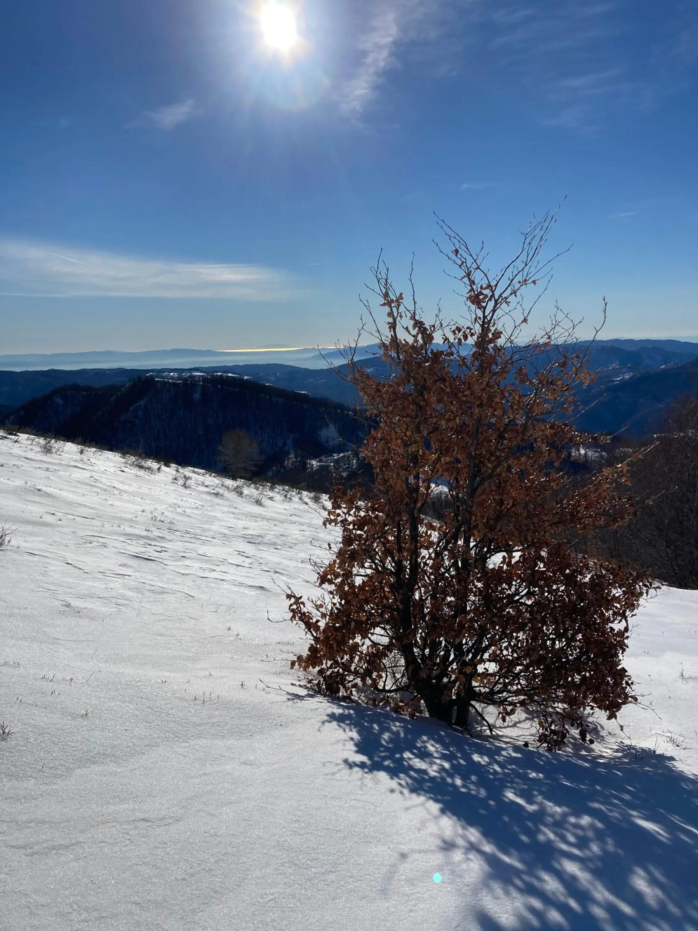 Natural landscape in Casa Sperandini